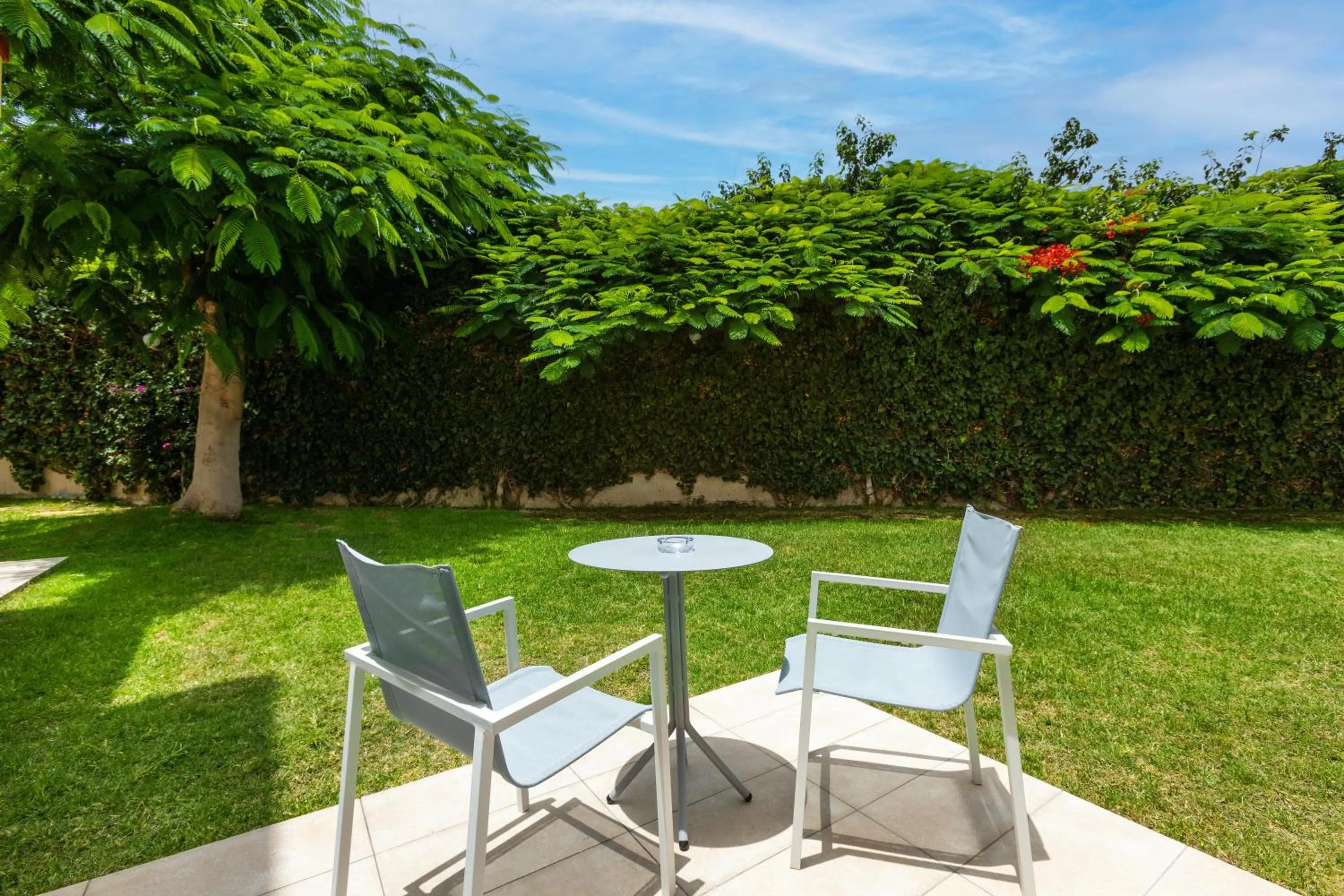 Photo of the whole room in Alexandre Gala