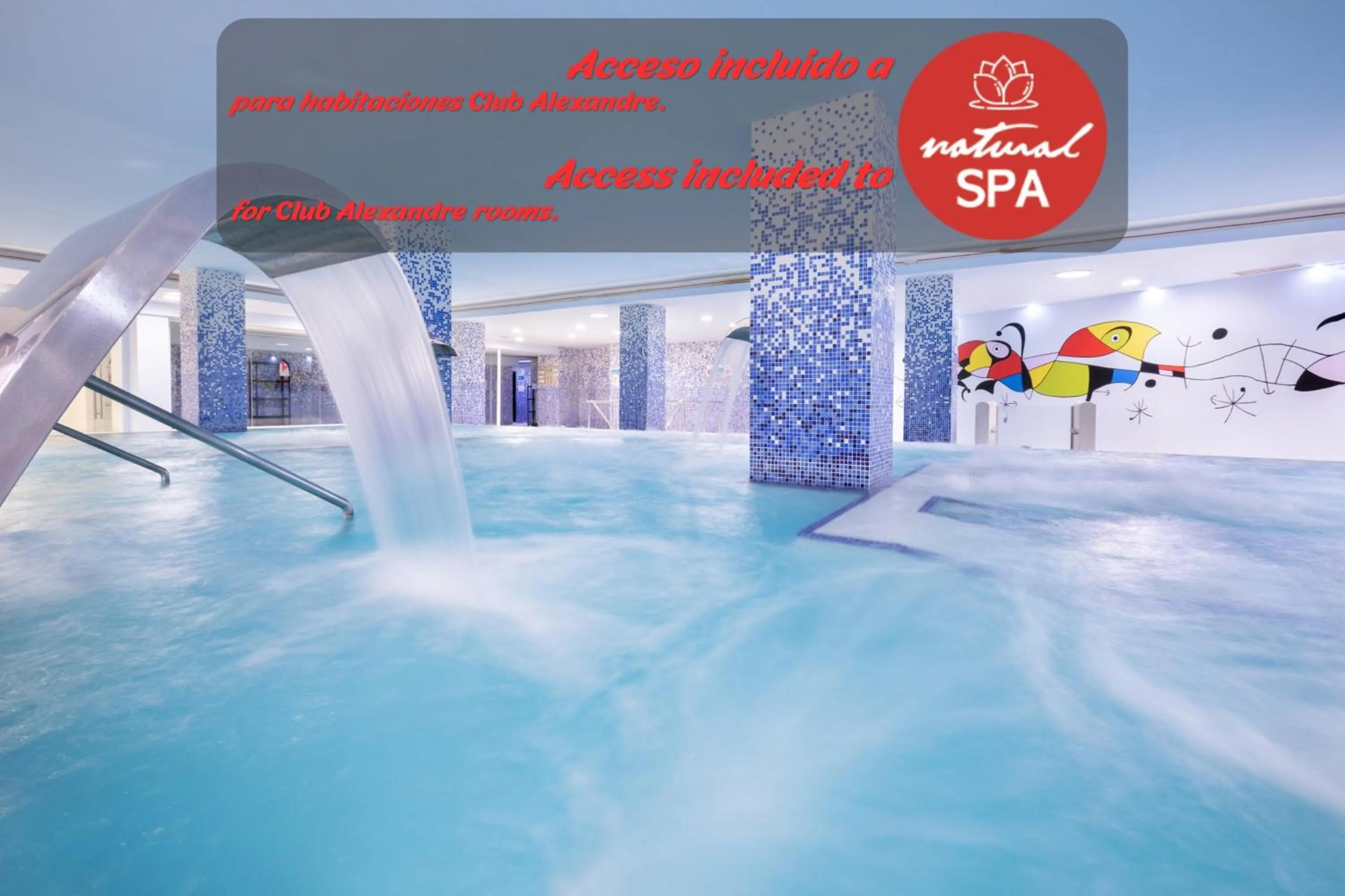 Photo of the whole room in Alexandre Gala