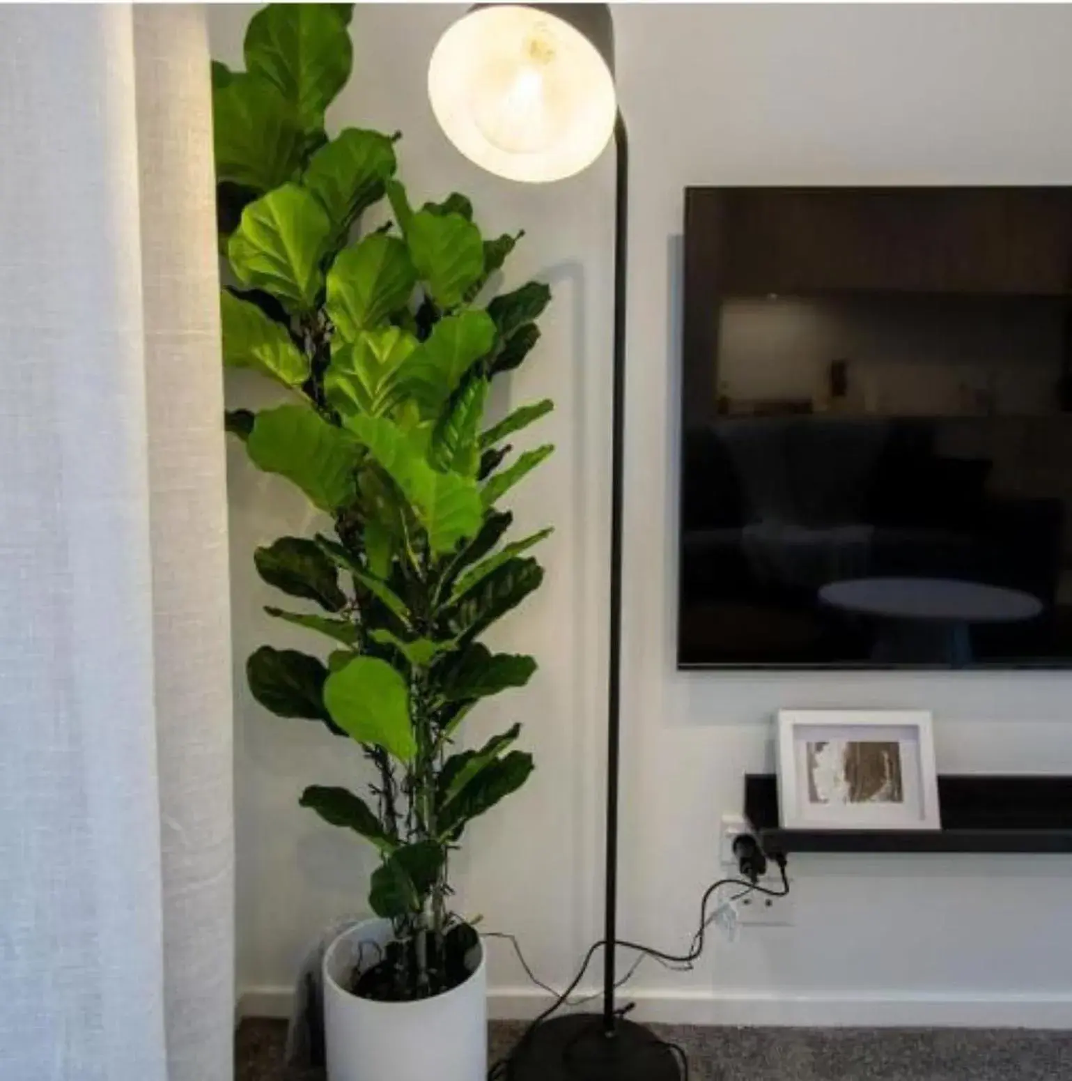 Two-Bedroom Apartment in A touch of Luxury in Chch CBD with Free Carpark Two-Bedroom Apartment in A touch of Luxury in Chch CBD with Free Carpark