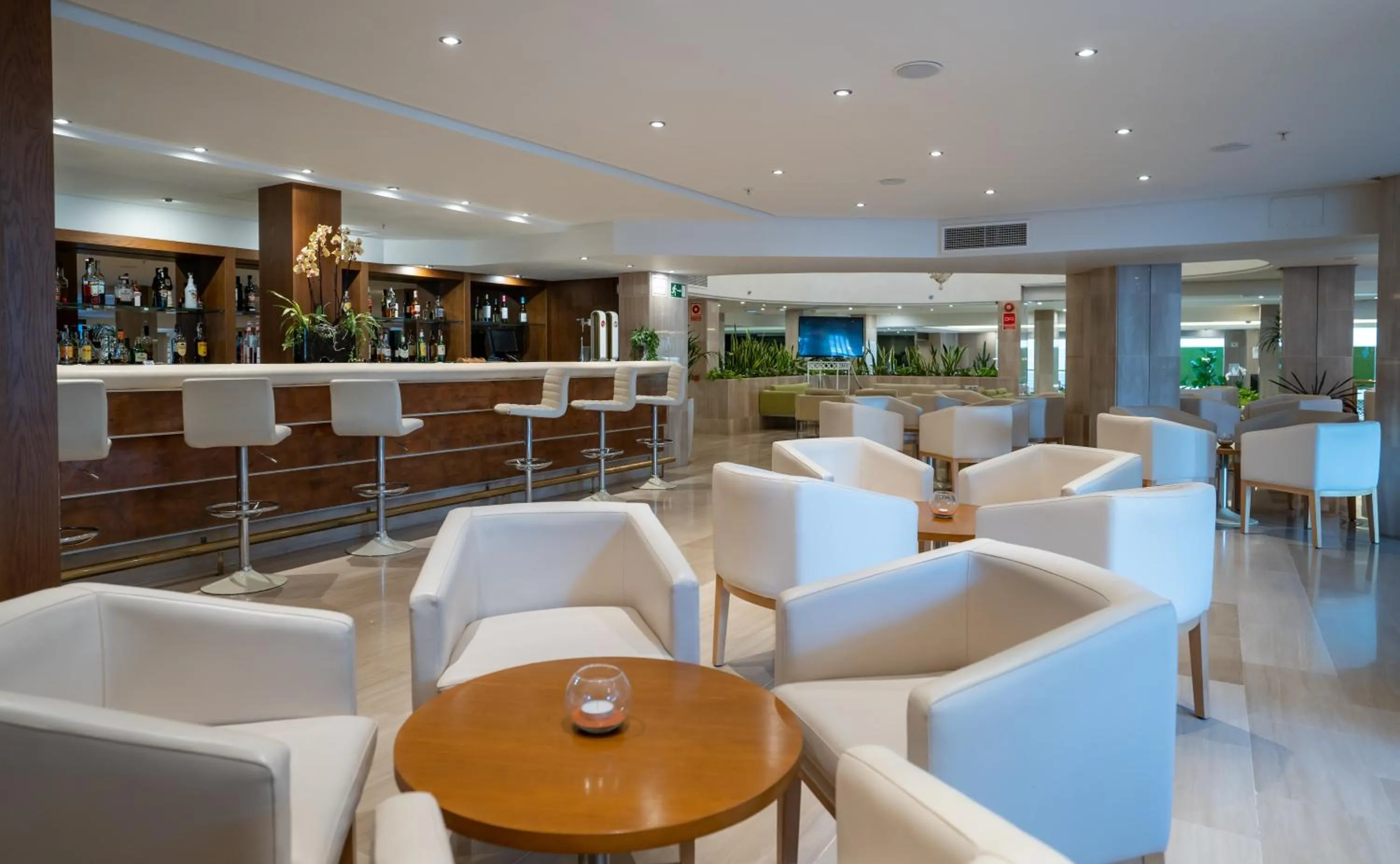 Lounge or bar in MS Aguamarina Costa del Sol