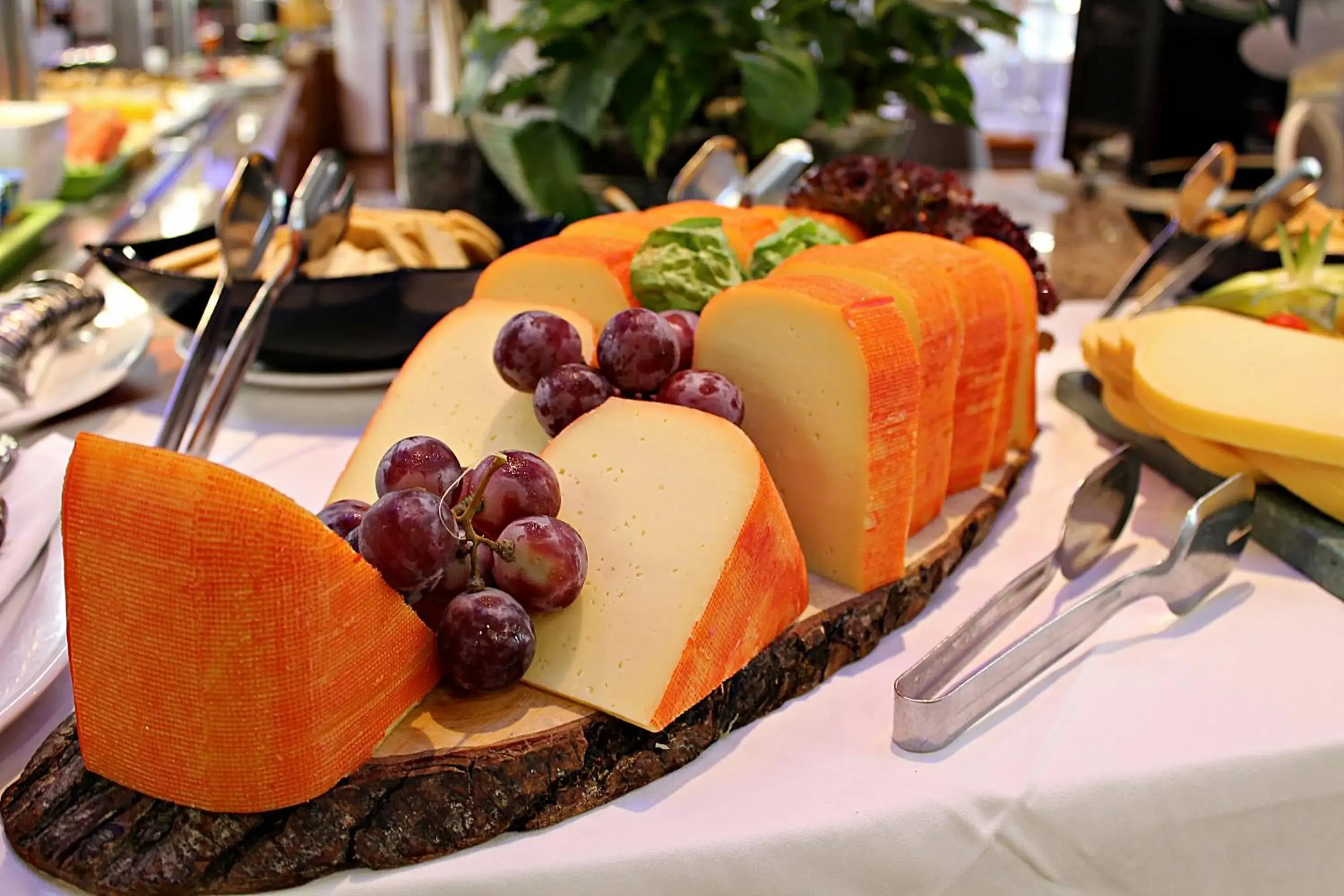 Food in Sagitario Princesa Playa Food in Sagitario Princesa Playa