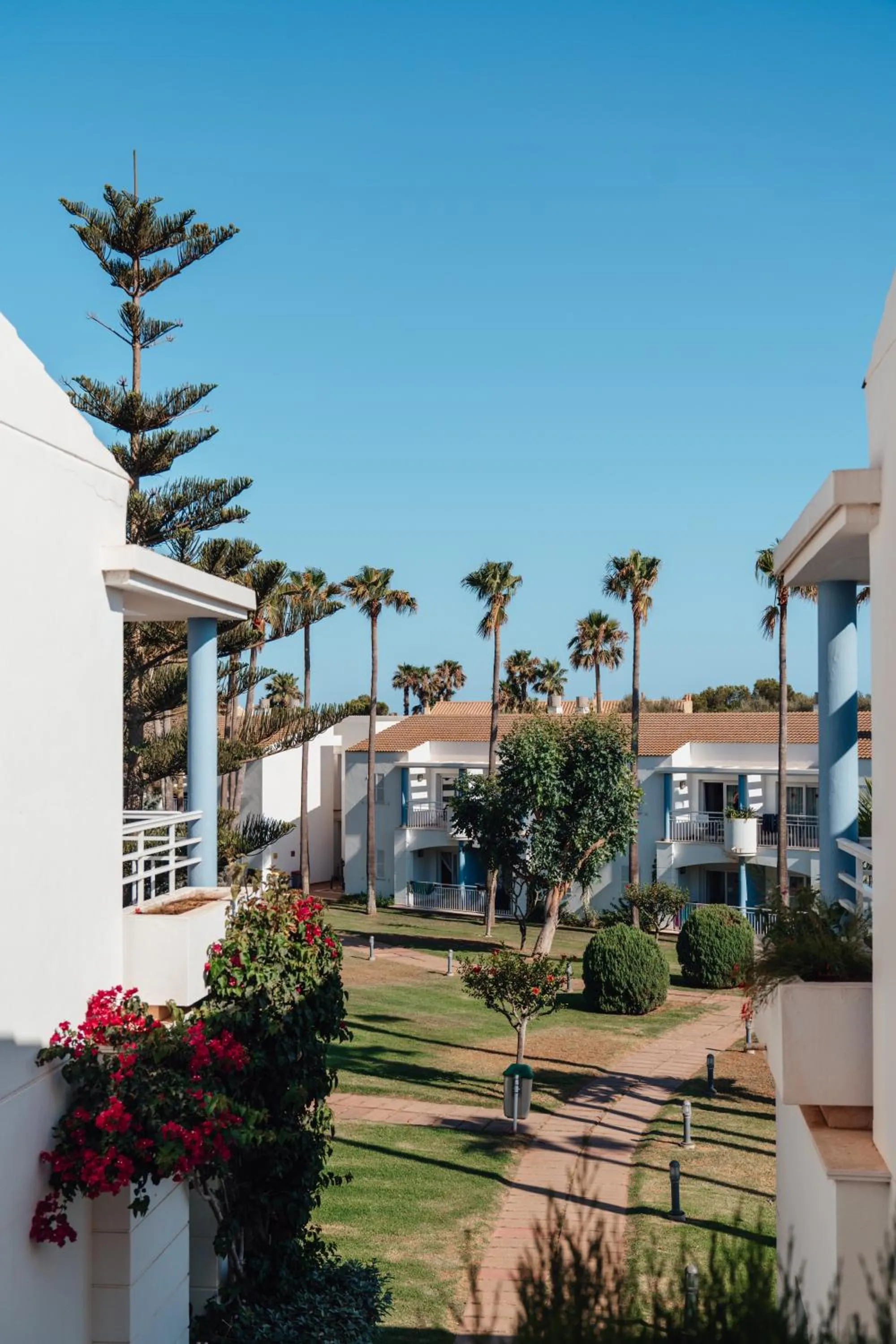 Garden in Sagitario Princesa Playa