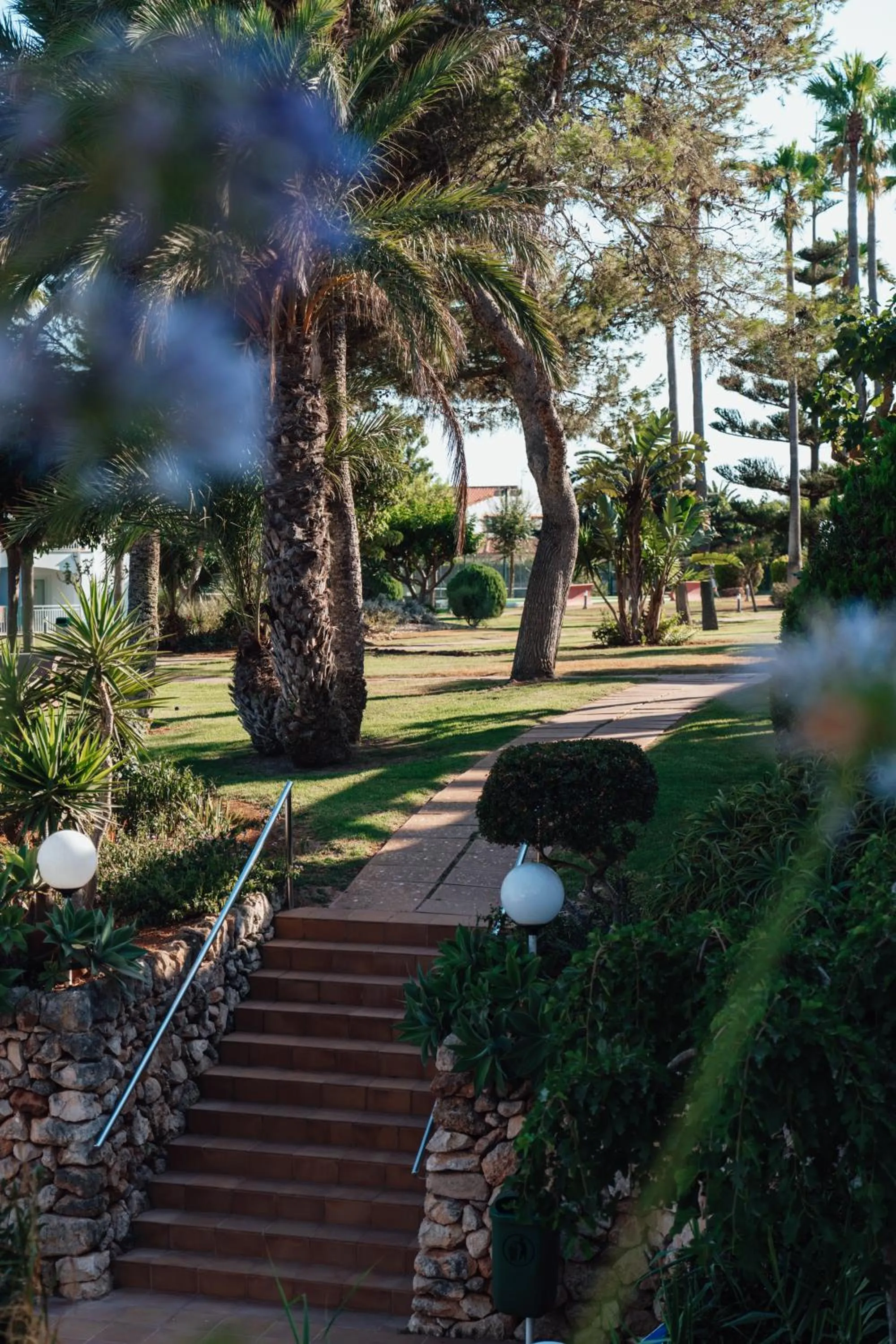 Garden in Sagitario Princesa Playa