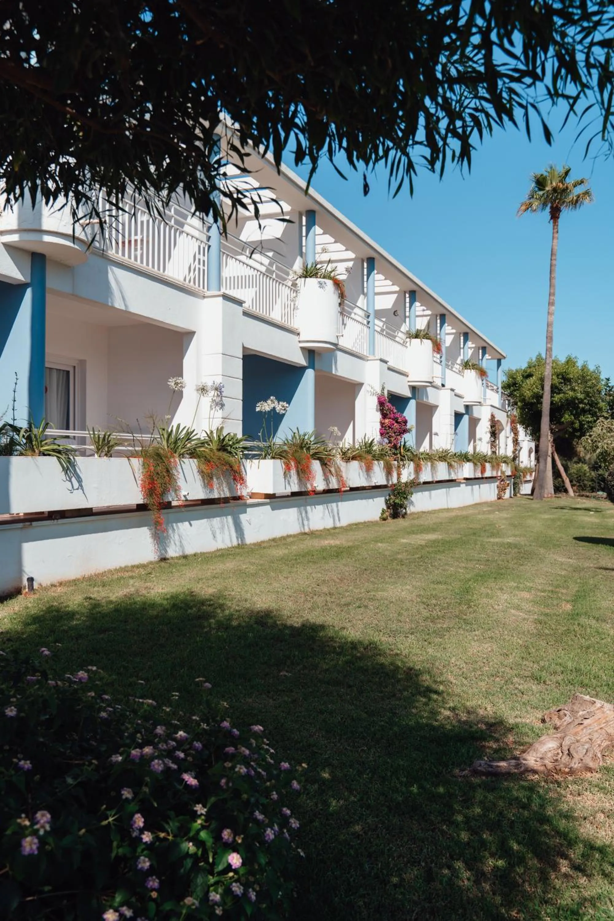 Garden in Sagitario Princesa Playa