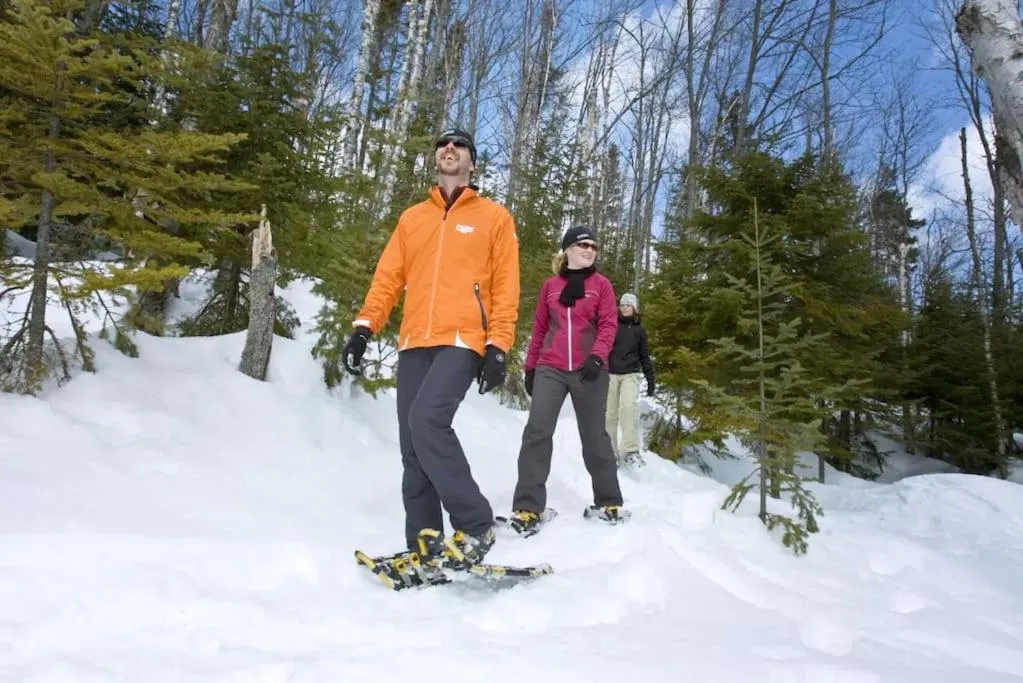 Natural landscape in Initial / Solden / MSA