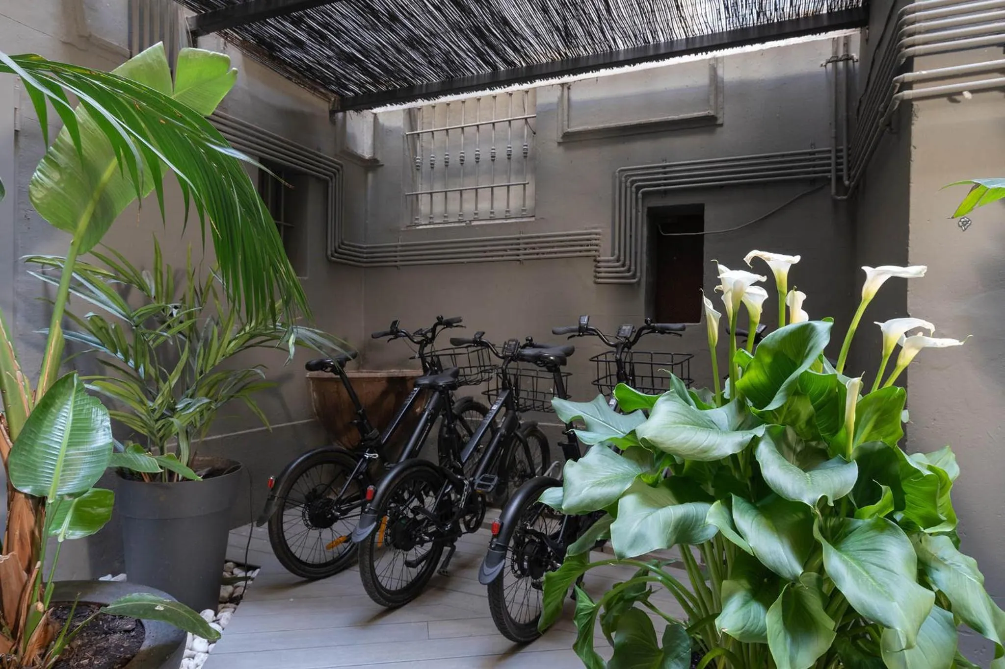 Cycling in Chic & Basic Born Boutique Hotel