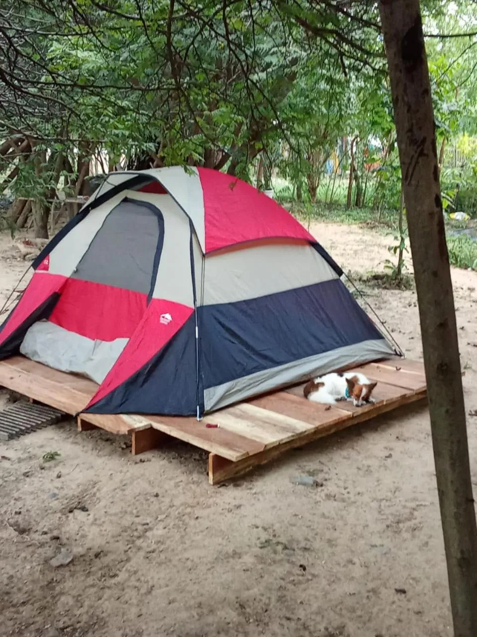 Hotel flamencamarones