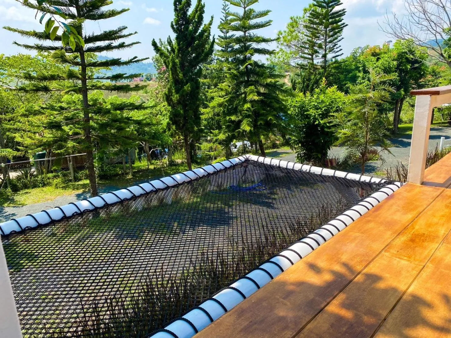 Balcony/Terrace in Serene Khaokho