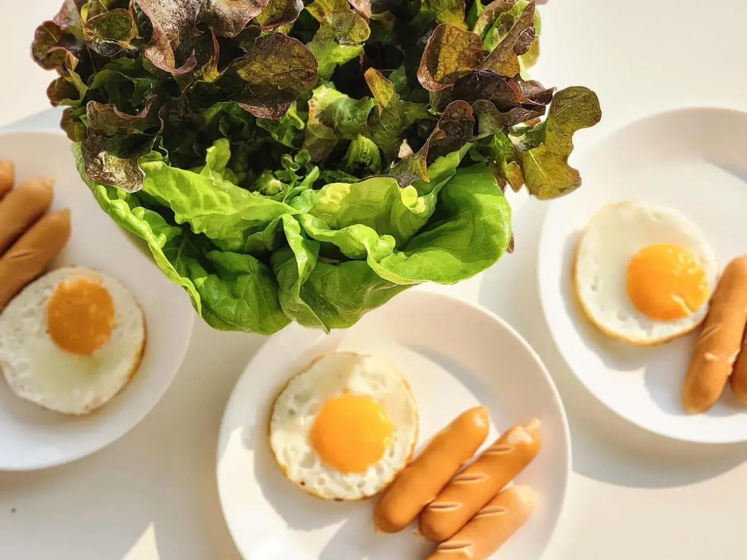 Breakfast in Serene Khaokho Breakfast in Serene Khaokho