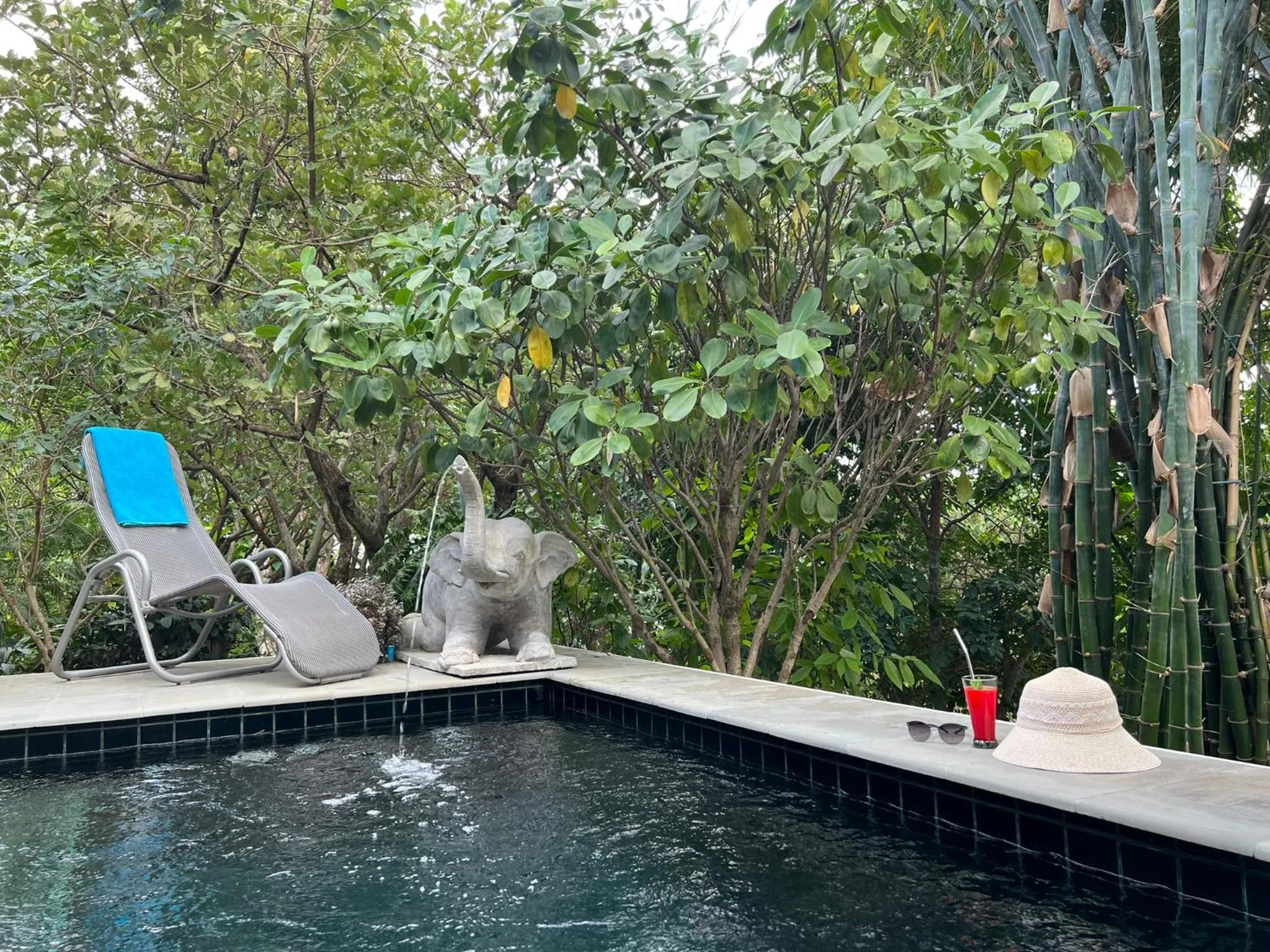 Swimming pool in Home of Dusita