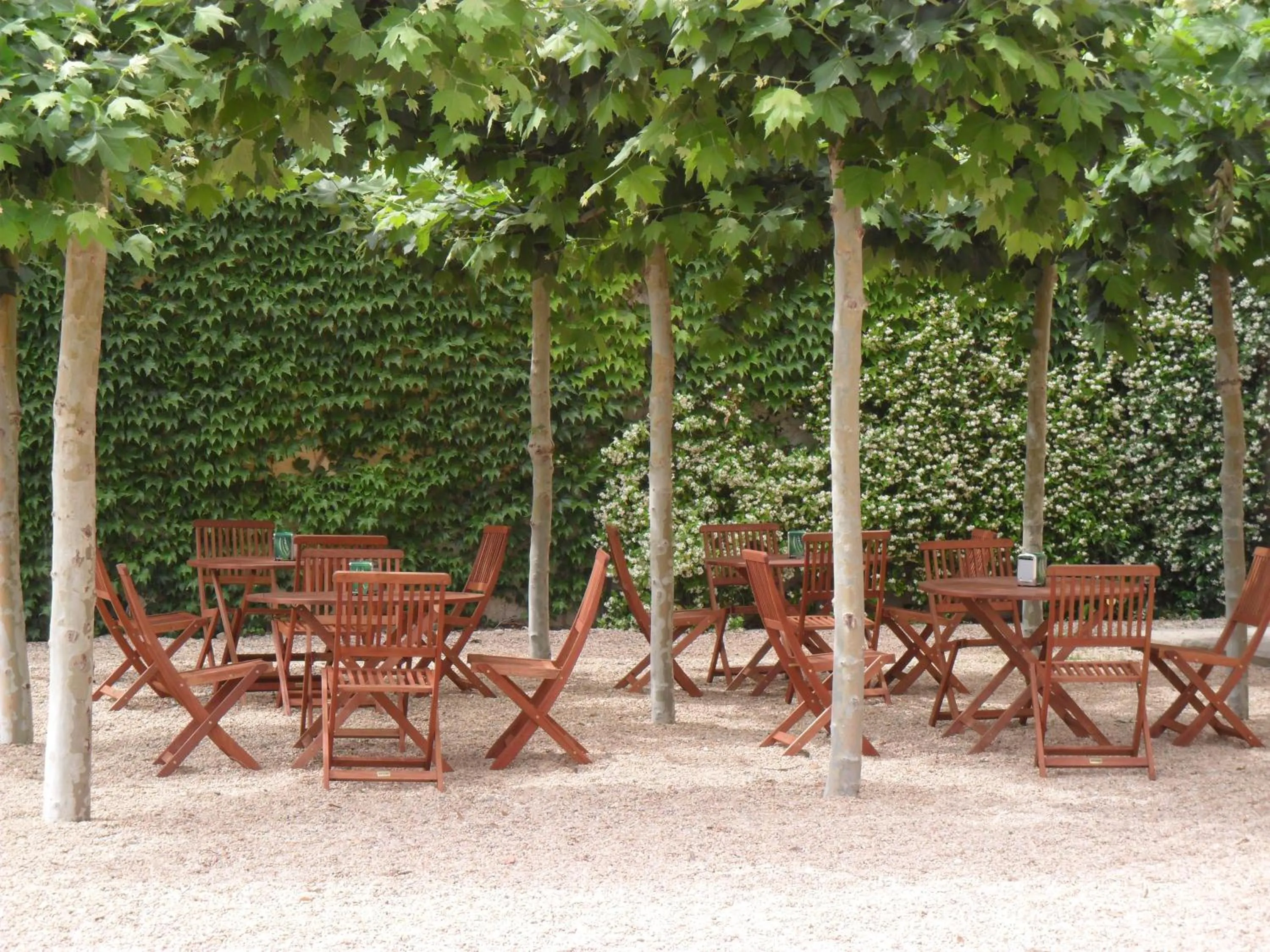 Garden in Hospedería de Alesves