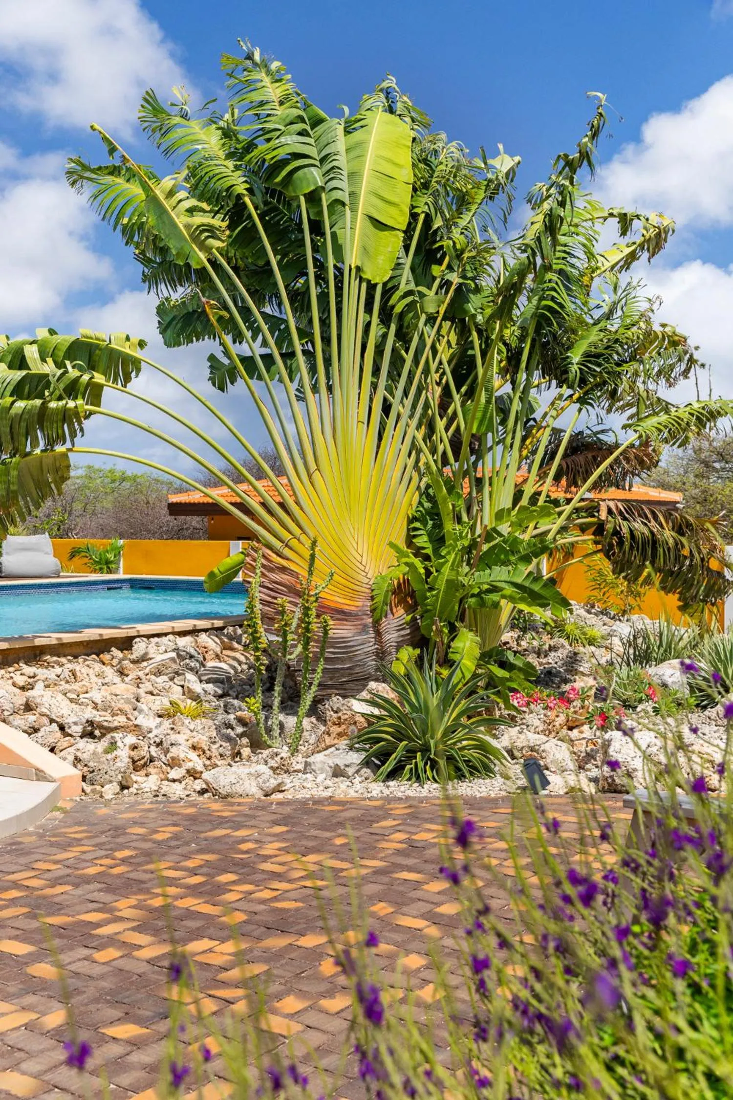 Garden in Boutique Hotel Wanapa - Adult Friendly - 14 years and older