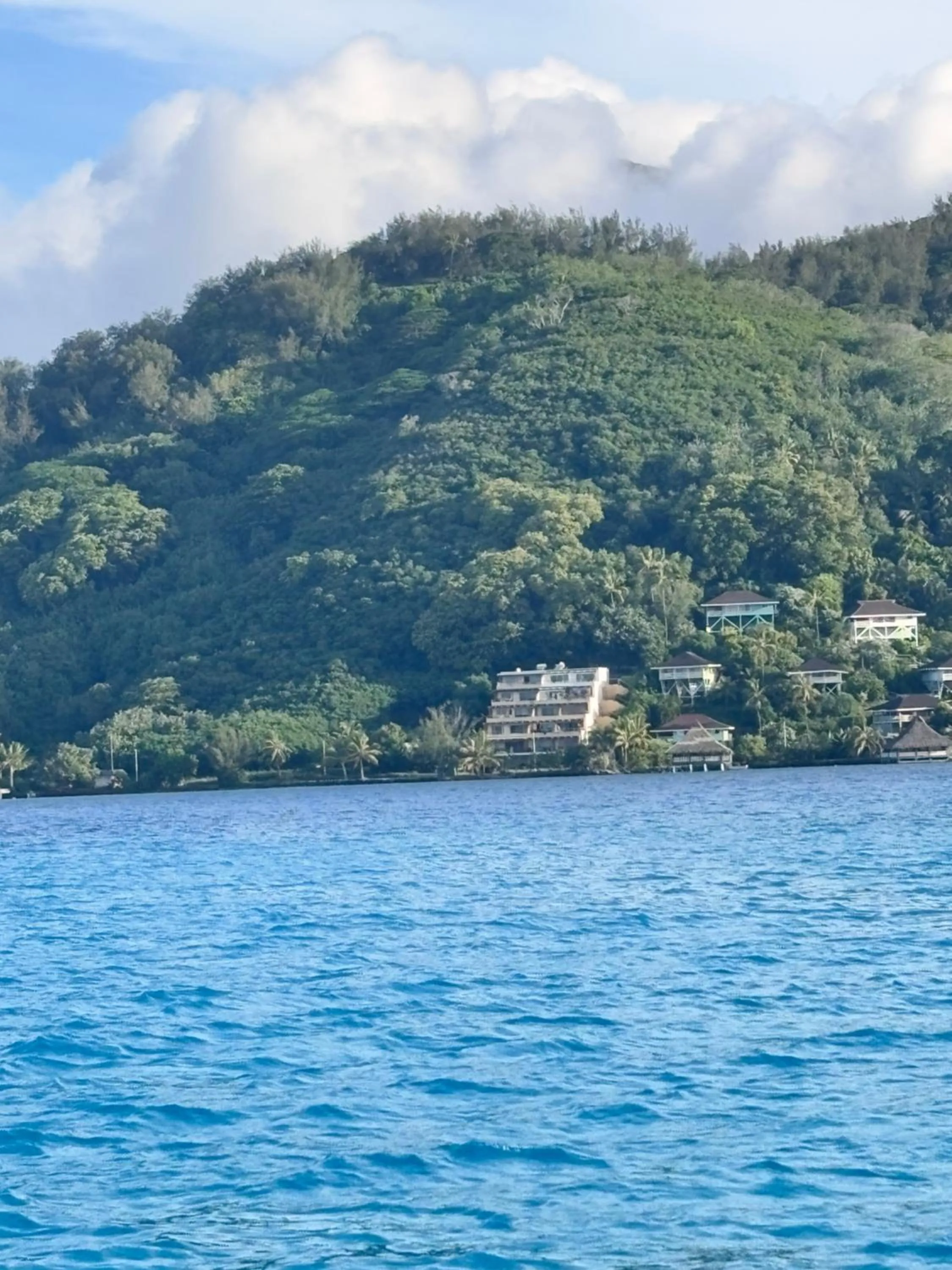 Property building in Studio Deluxe