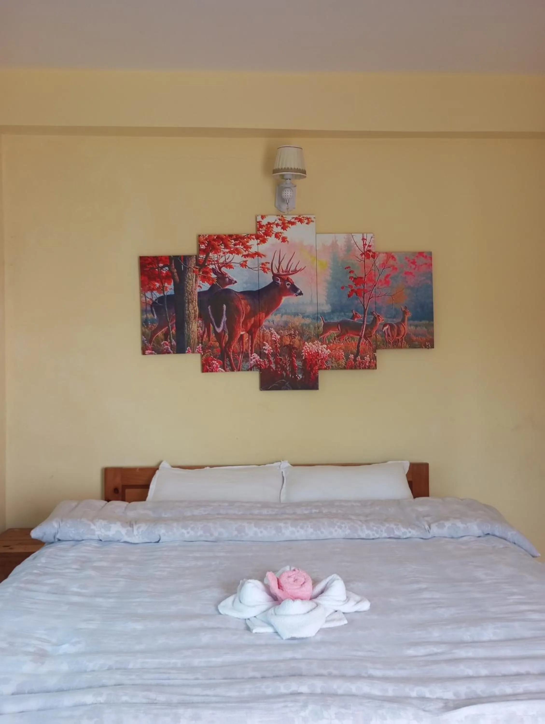 Bed in Hotel Sarangkot