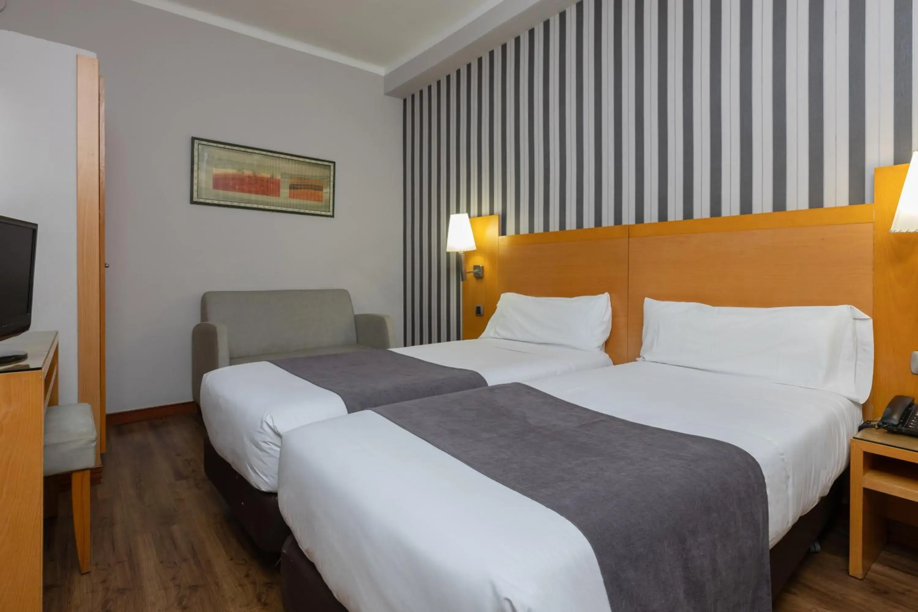 Double or Twin Room in Hotel Lyon Double or Twin Room in Hotel Lyon