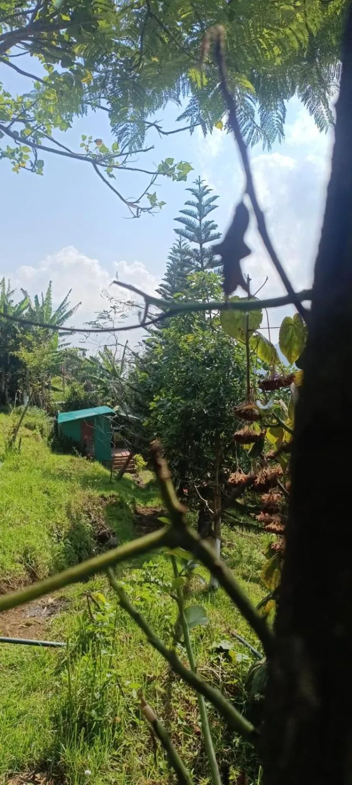 4REST INN PRIVATE LIMITED