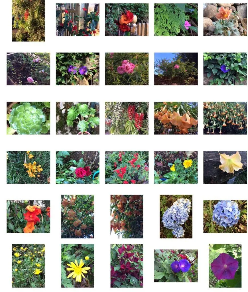 4REST INN PRIVATE LIMITED