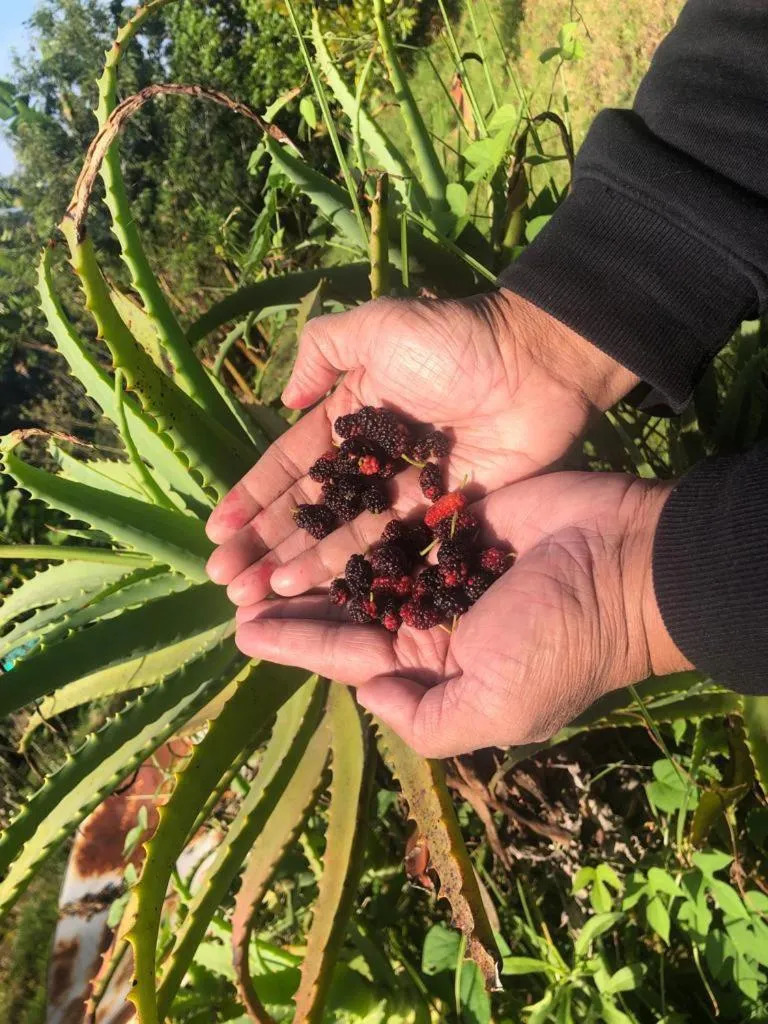 4REST INN PRIVATE LIMITED