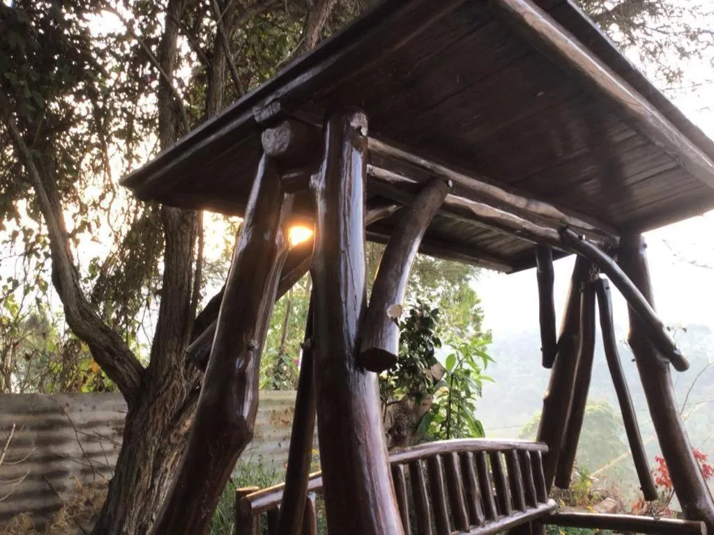 Garden view in 4REST INN PRIVATE LIMITED