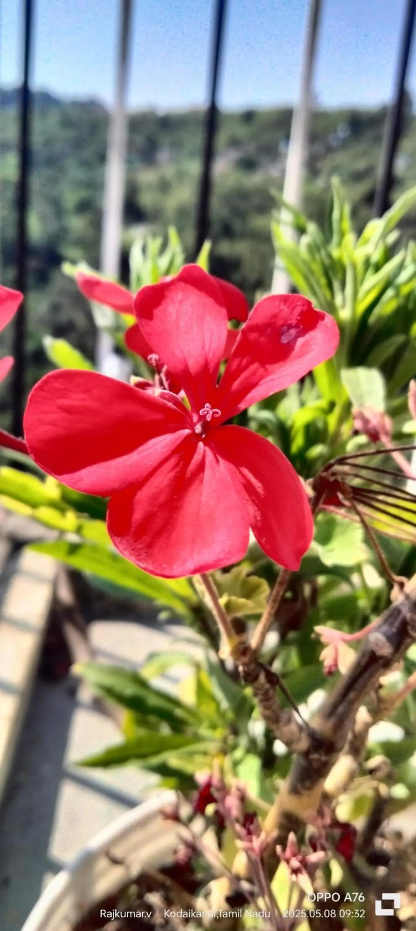 Garden in 4REST INN PRIVATE LIMITED