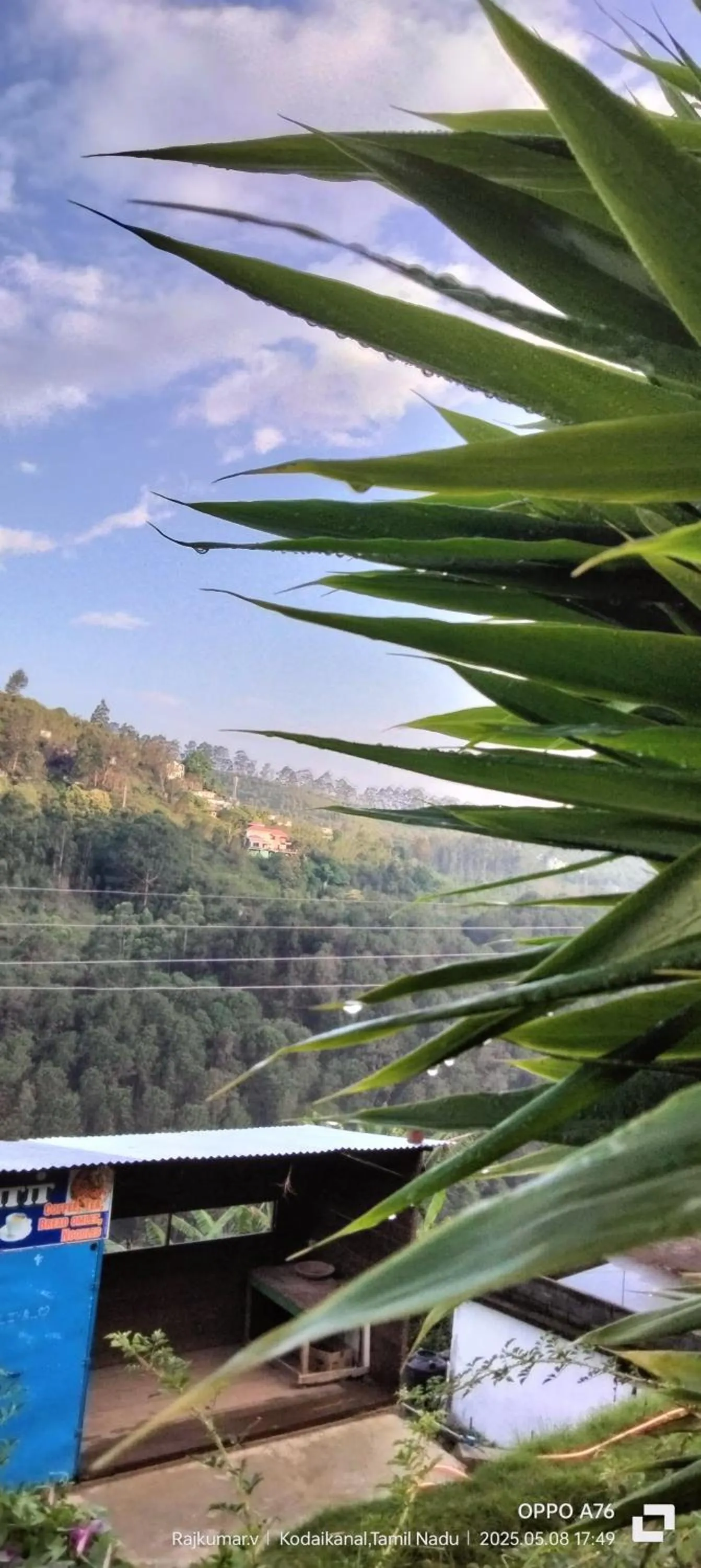 Garden in 4REST INN PRIVATE LIMITED