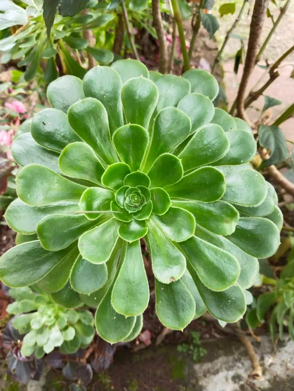 4REST INN PRIVATE LIMITED