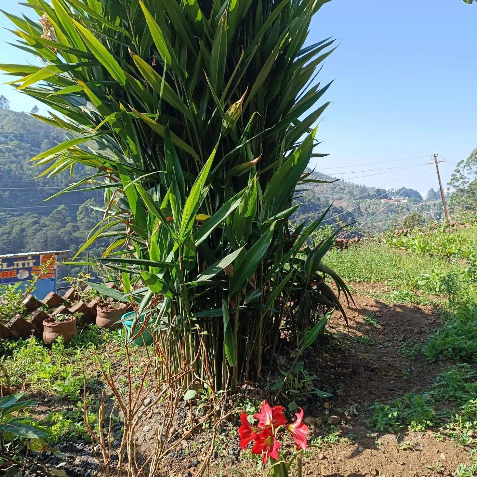 4REST INN PRIVATE LIMITED