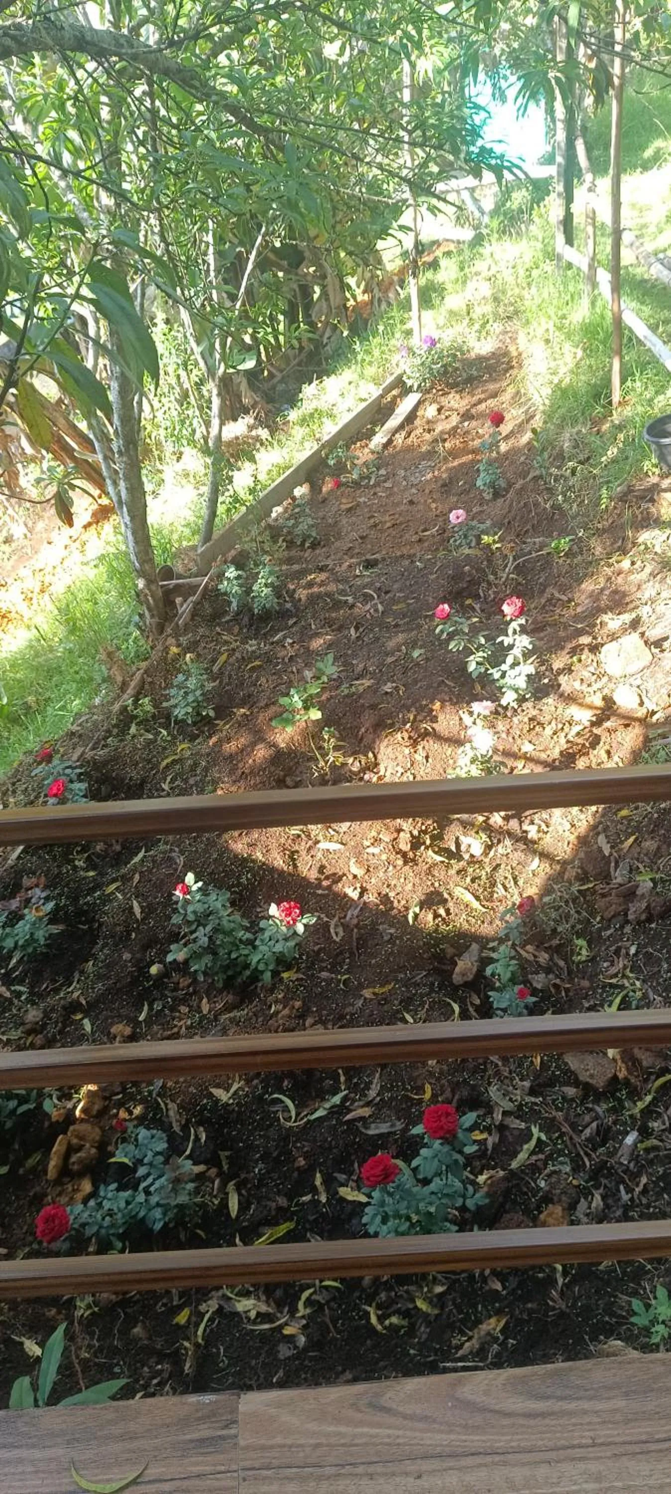 Garden view in 4REST INN PRIVATE LIMITED