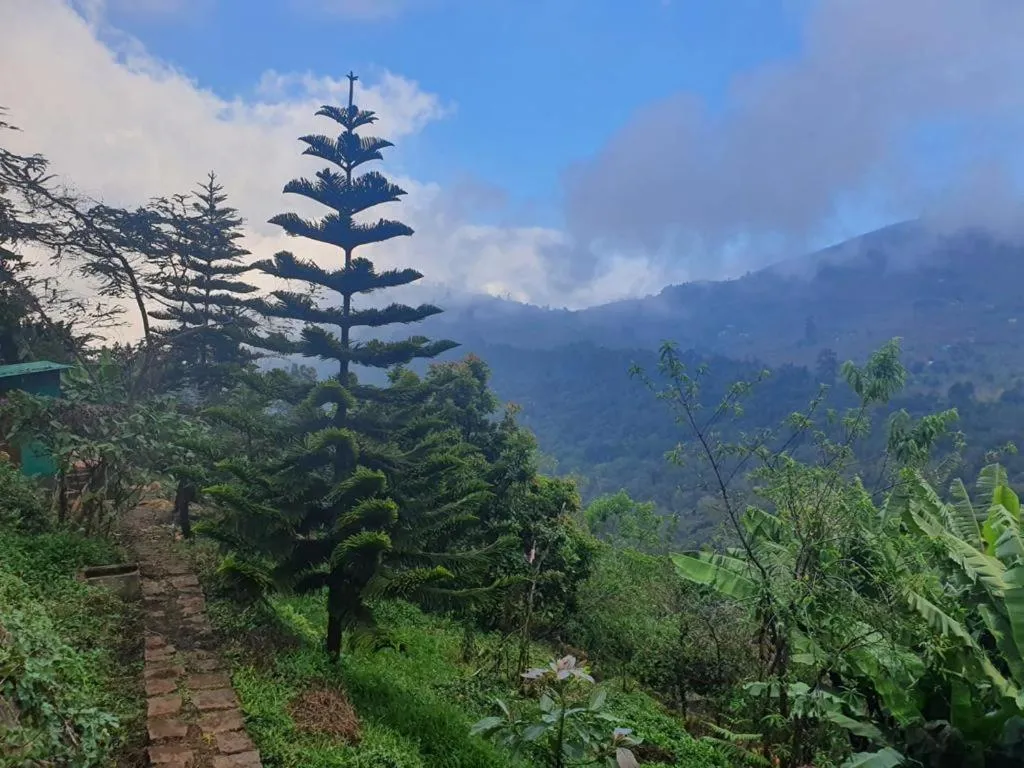 Mountain view in 4REST INN PRIVATE LIMITED