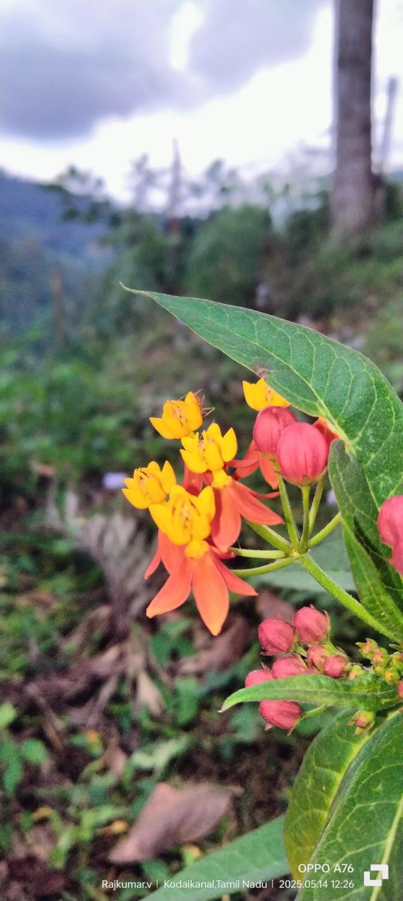 Spring in 4REST INN PRIVATE LIMITED