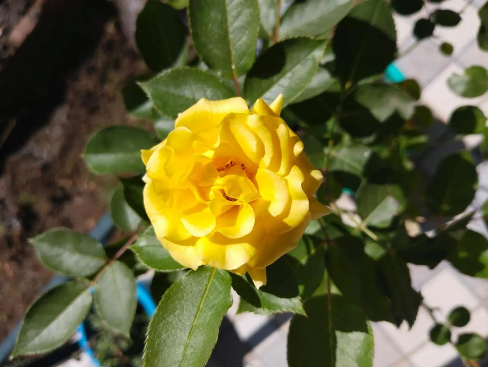 4REST INN PRIVATE LIMITED