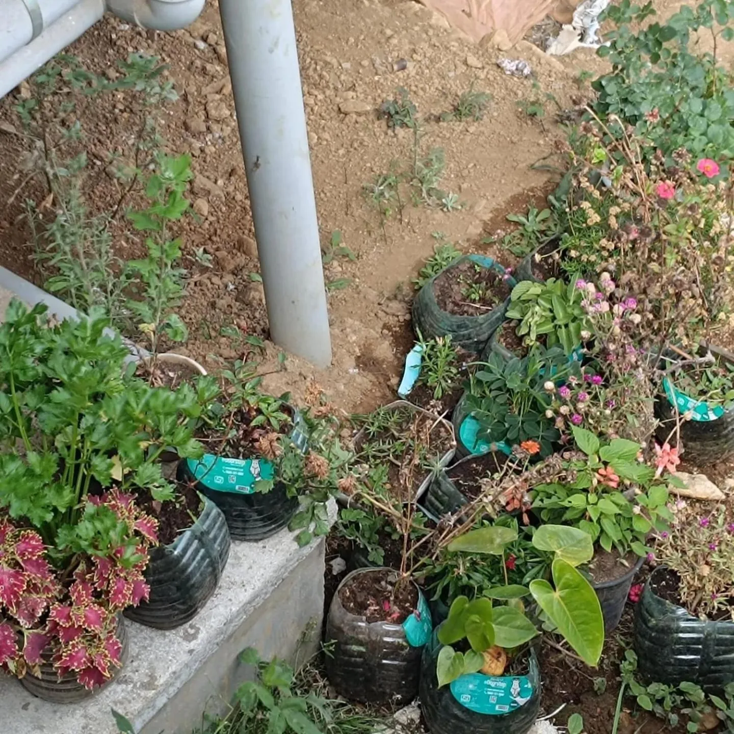 4REST INN PRIVATE LIMITED