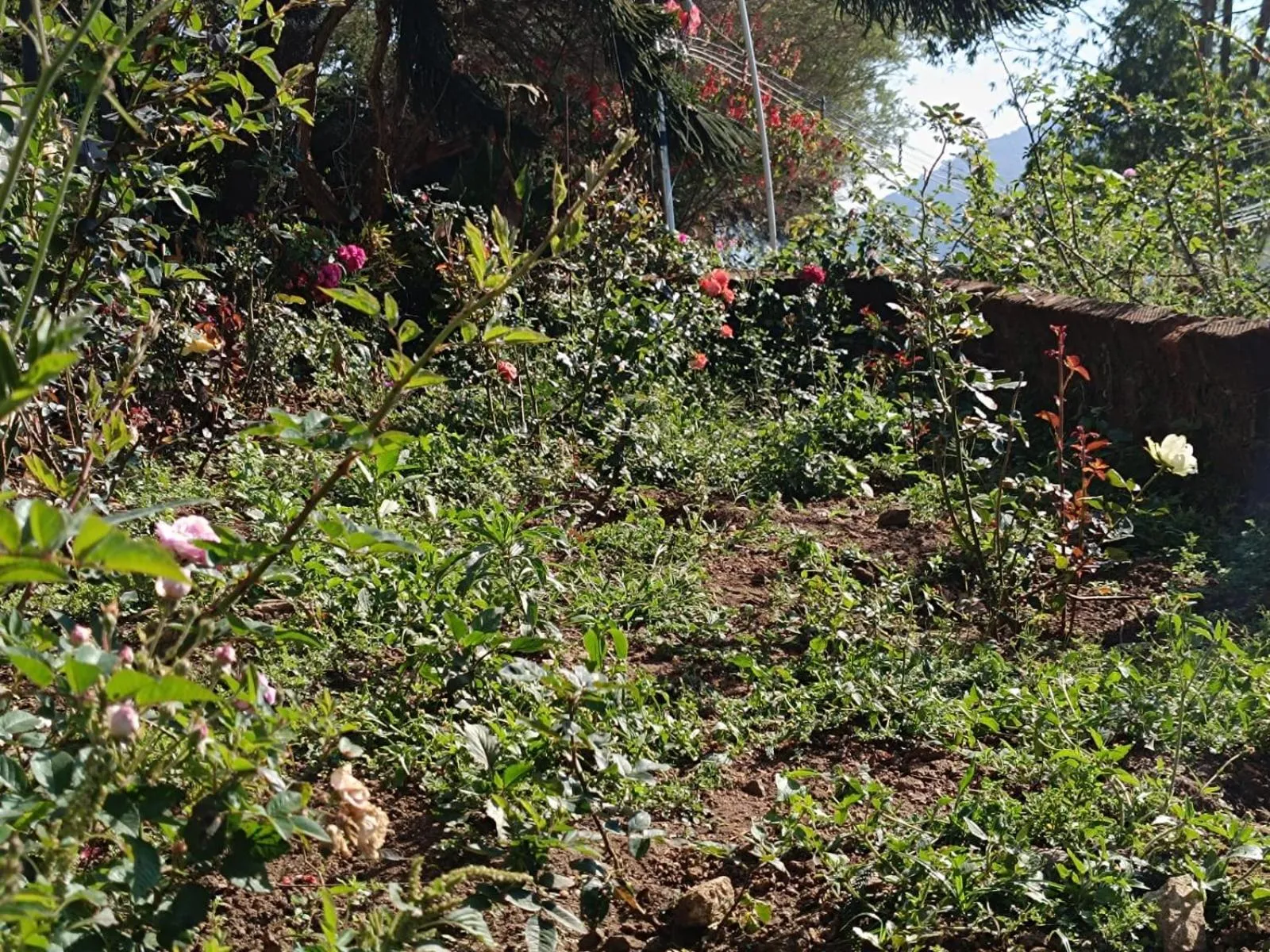 4REST INN PRIVATE LIMITED