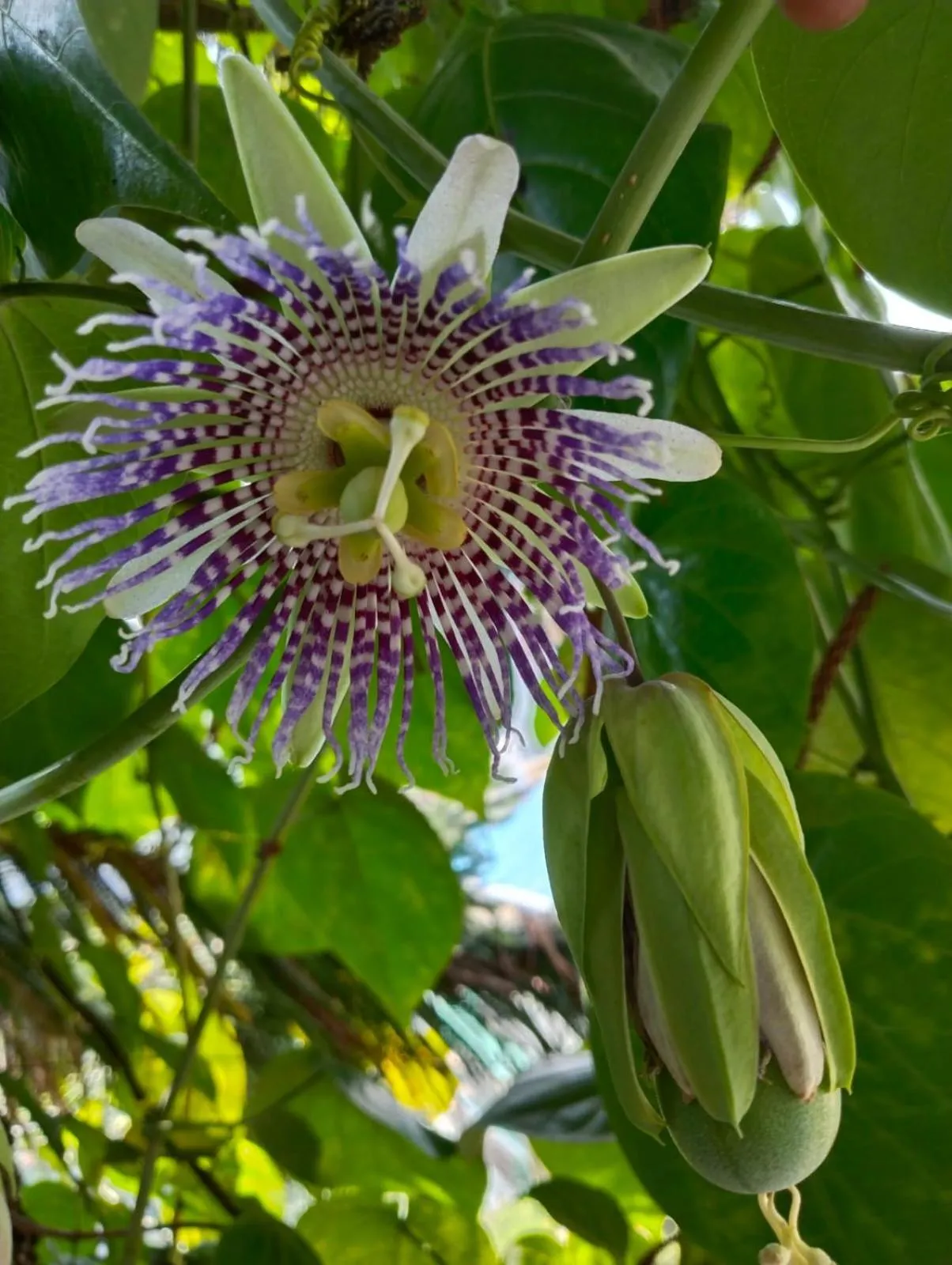 4REST INN PRIVATE LIMITED