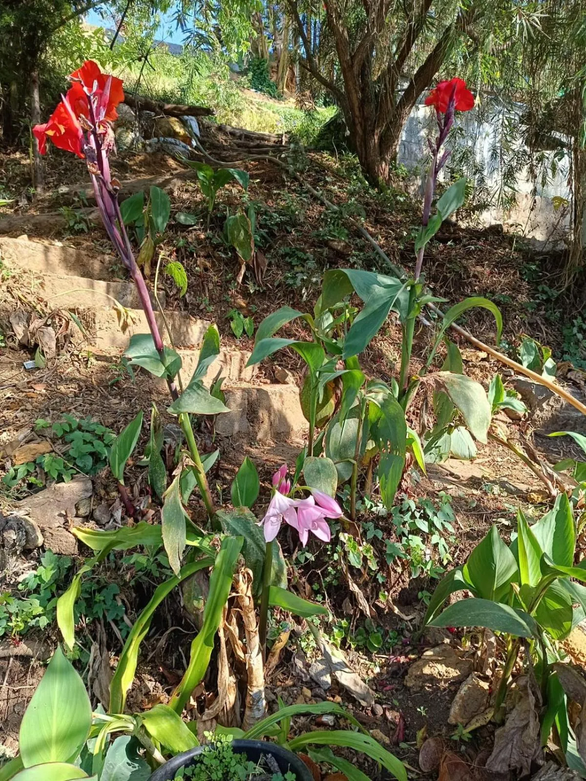 4REST INN PRIVATE LIMITED