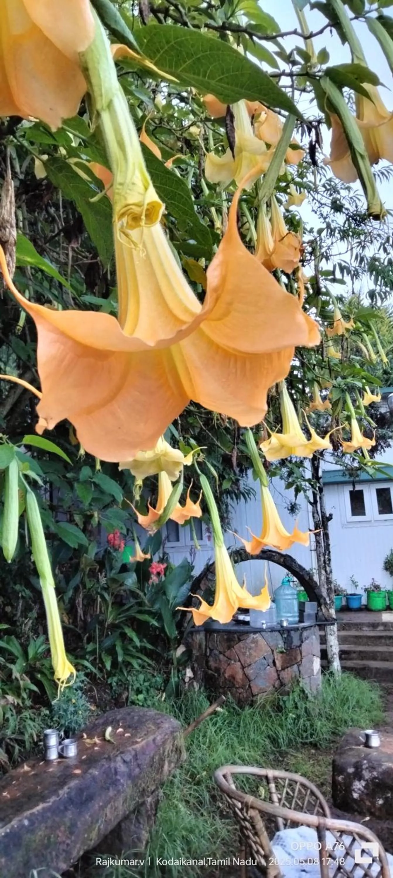 Garden in 4REST INN PRIVATE LIMITED