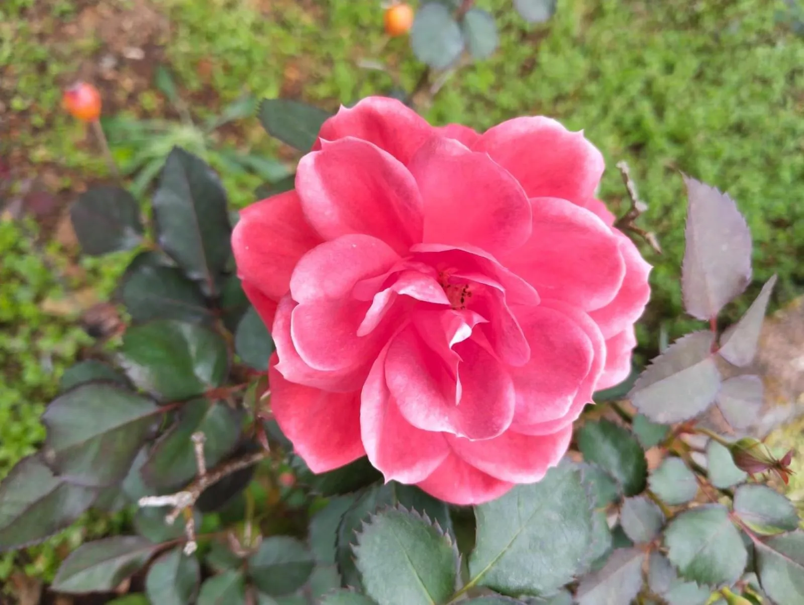 4REST INN PRIVATE LIMITED