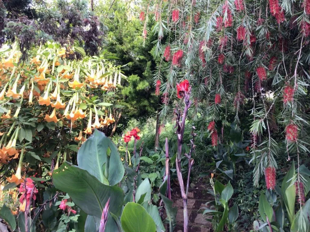 4REST INN PRIVATE LIMITED