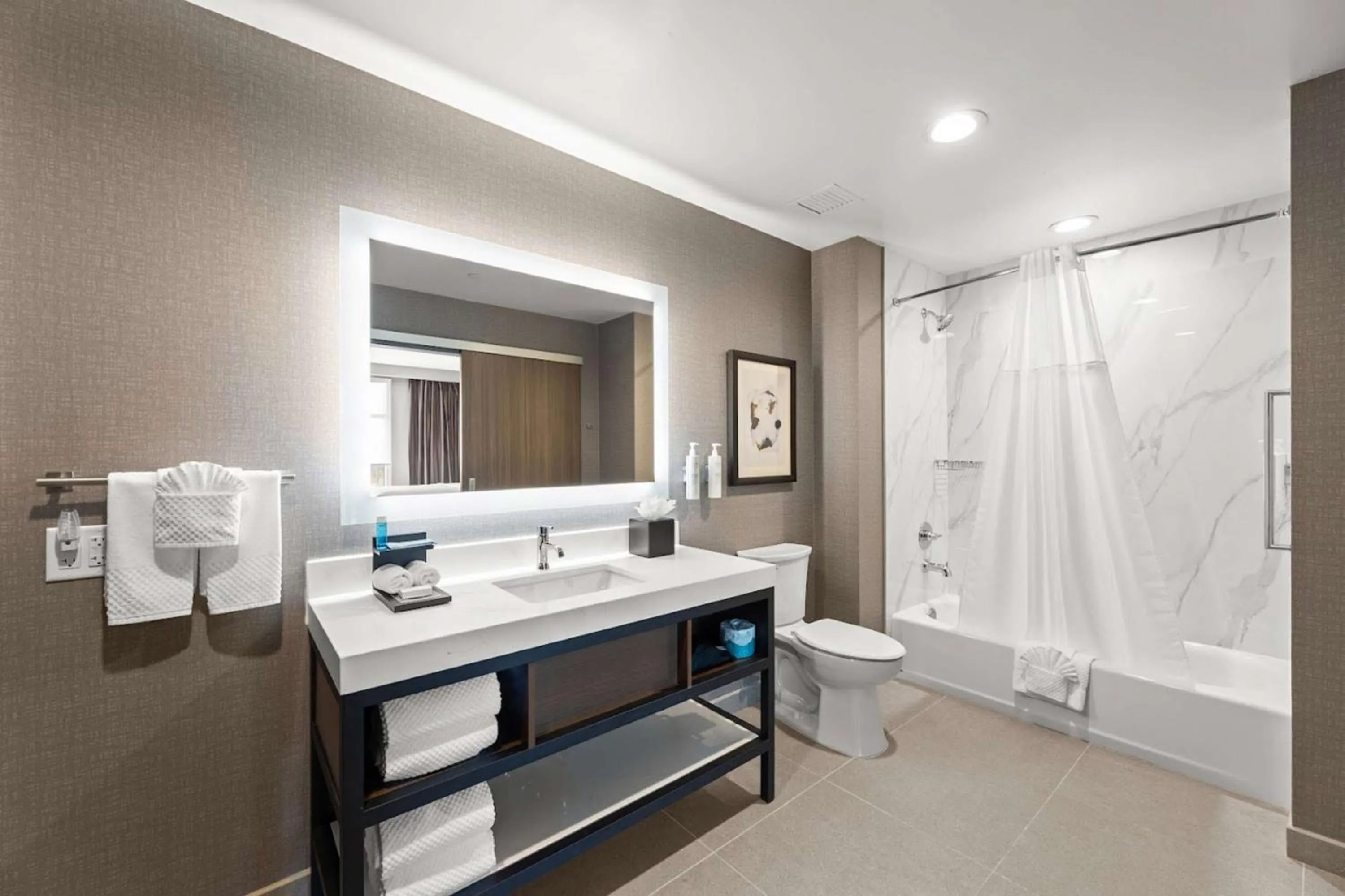 Bathroom in Embassy Suites By Hilton Irving Las Colinas