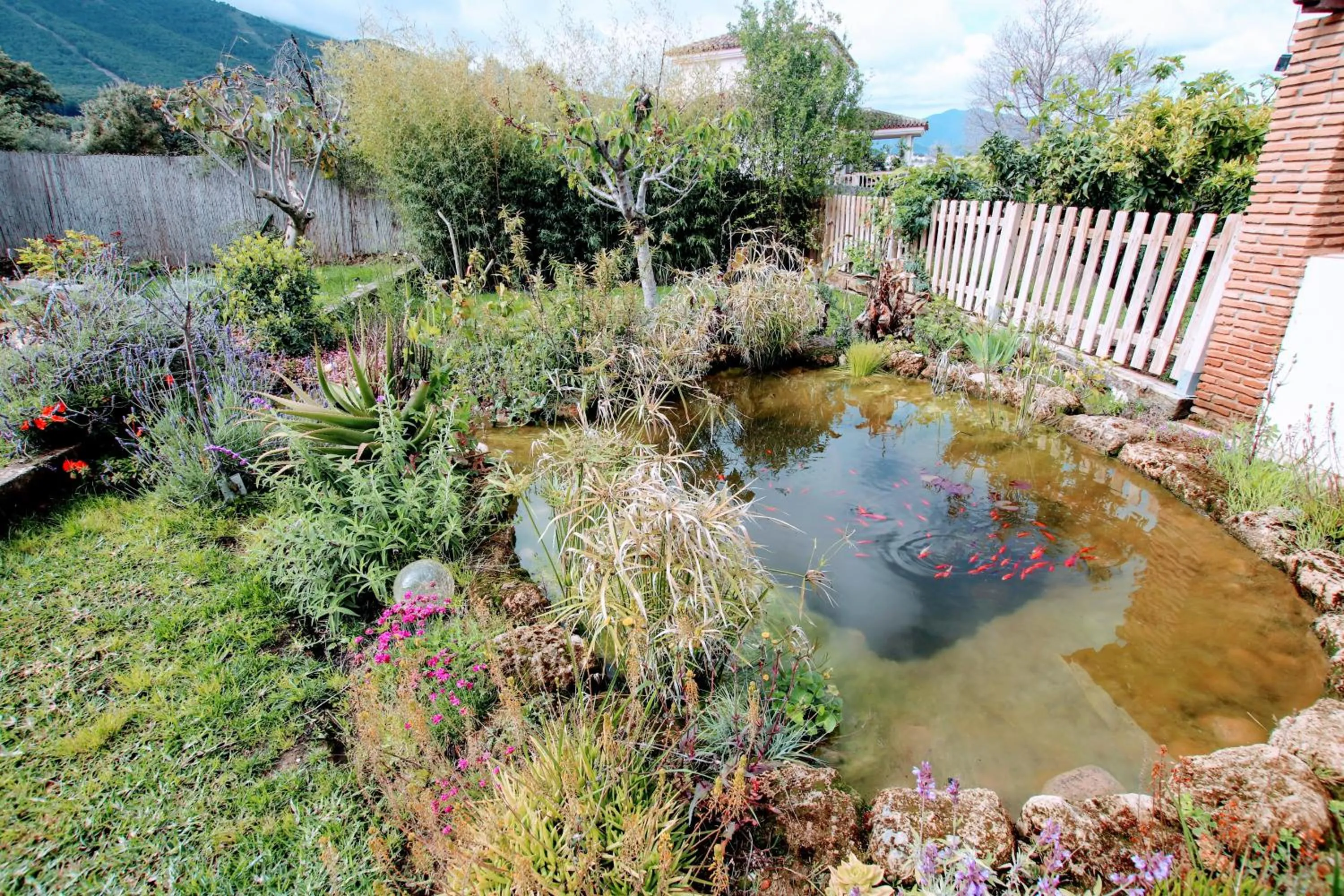 Garden in Ayma Casa Sierra Verde