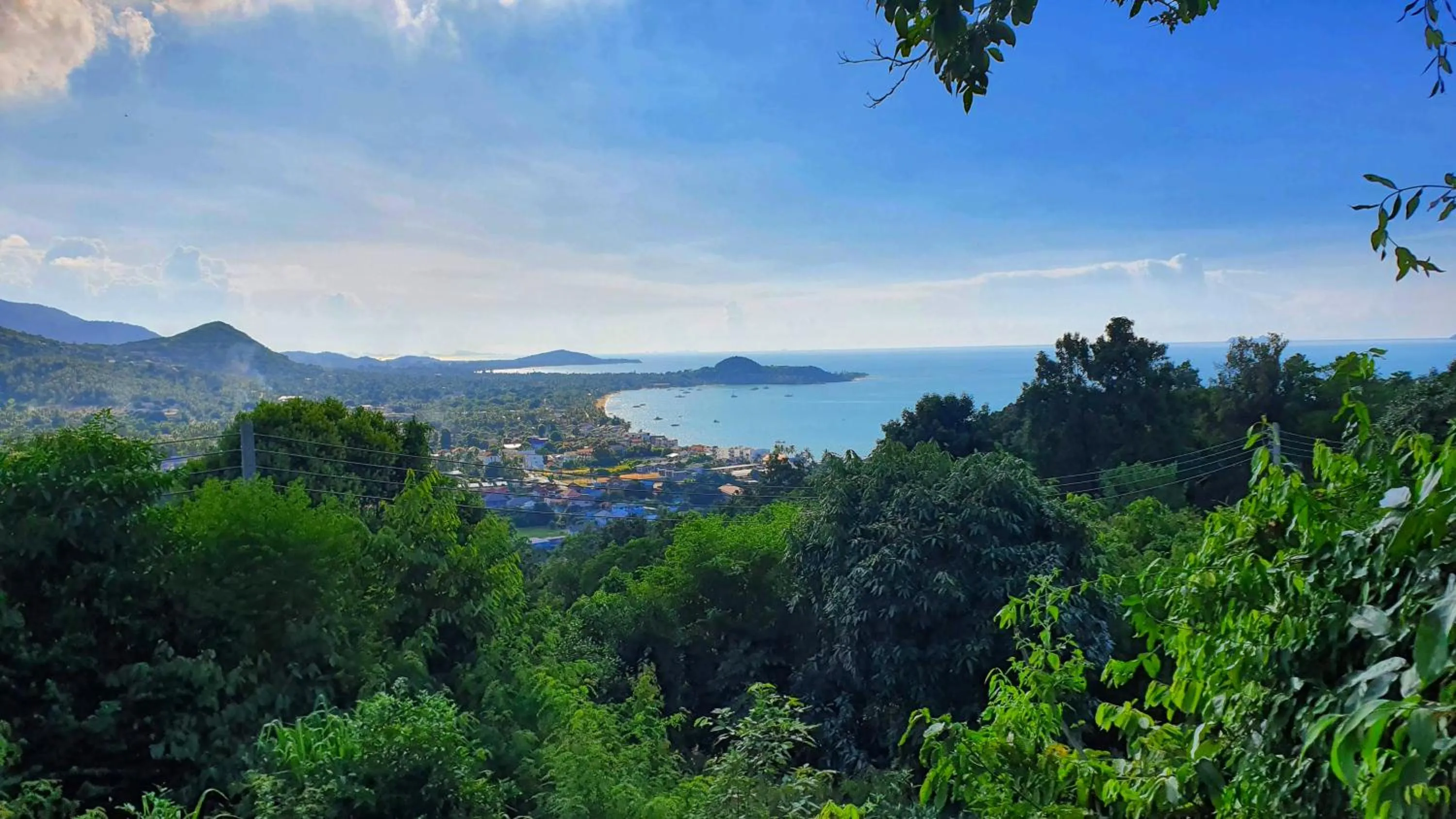 Neighbourhood in Golden Monkey Samui