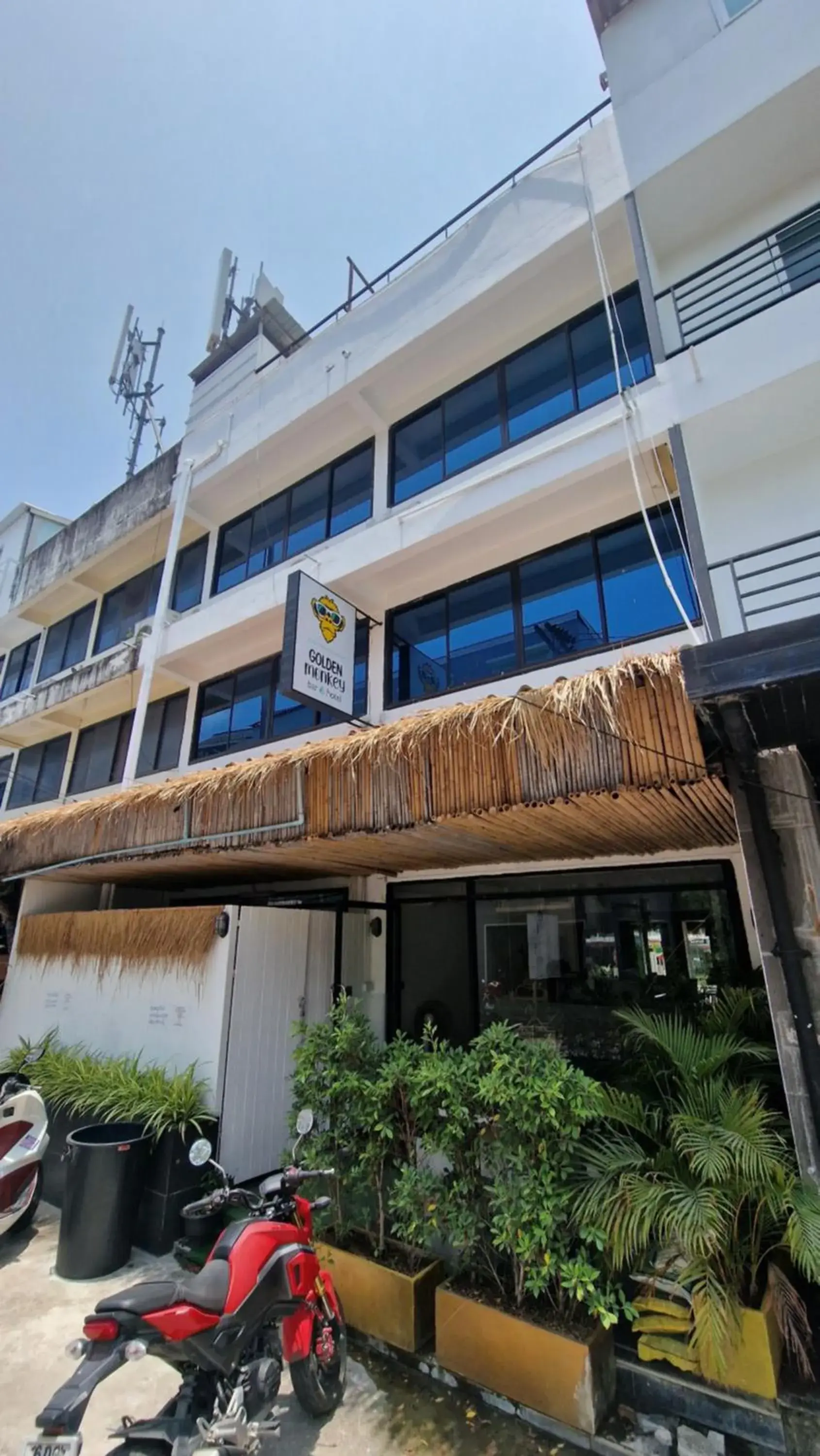 Property building in Golden Monkey Samui Property building in Golden Monkey Samui