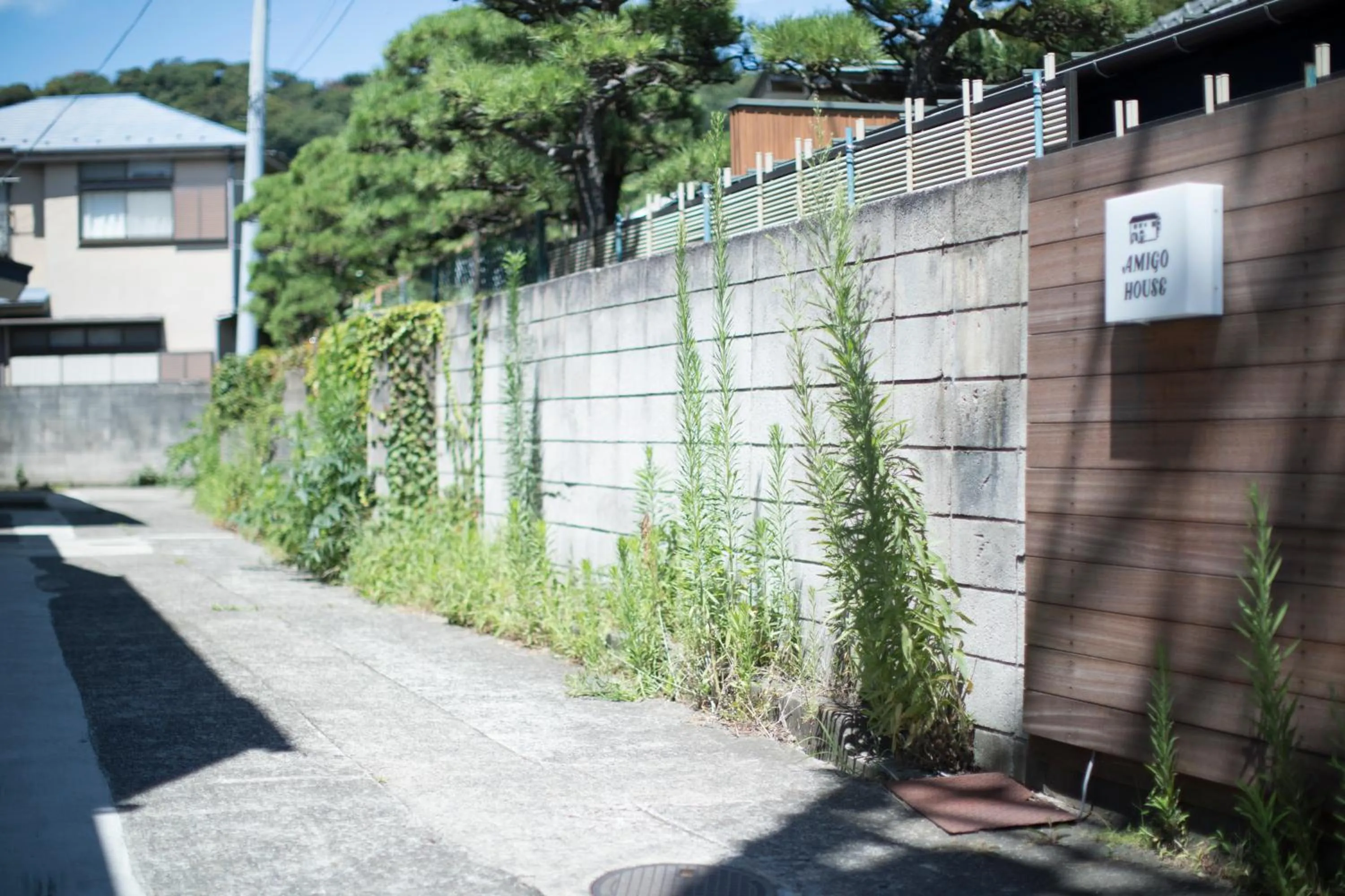 Property building in AMIGO HOUSE