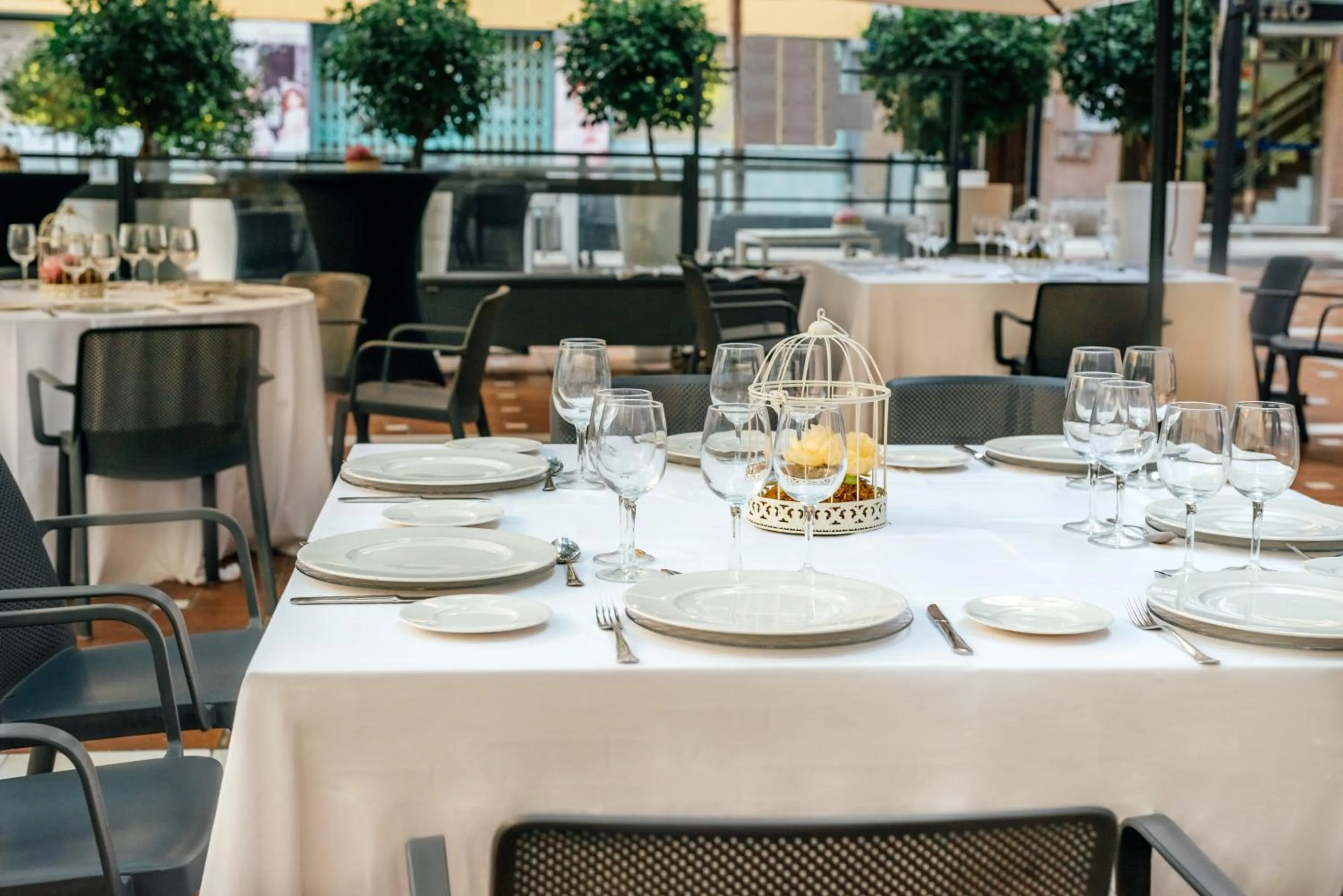 Other in Nuevo Torreluz