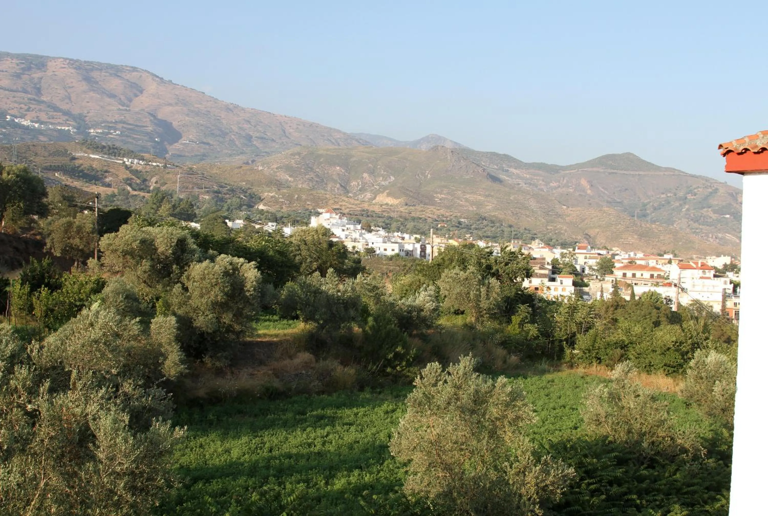Natural landscape in Hotel Puerta Nazarí