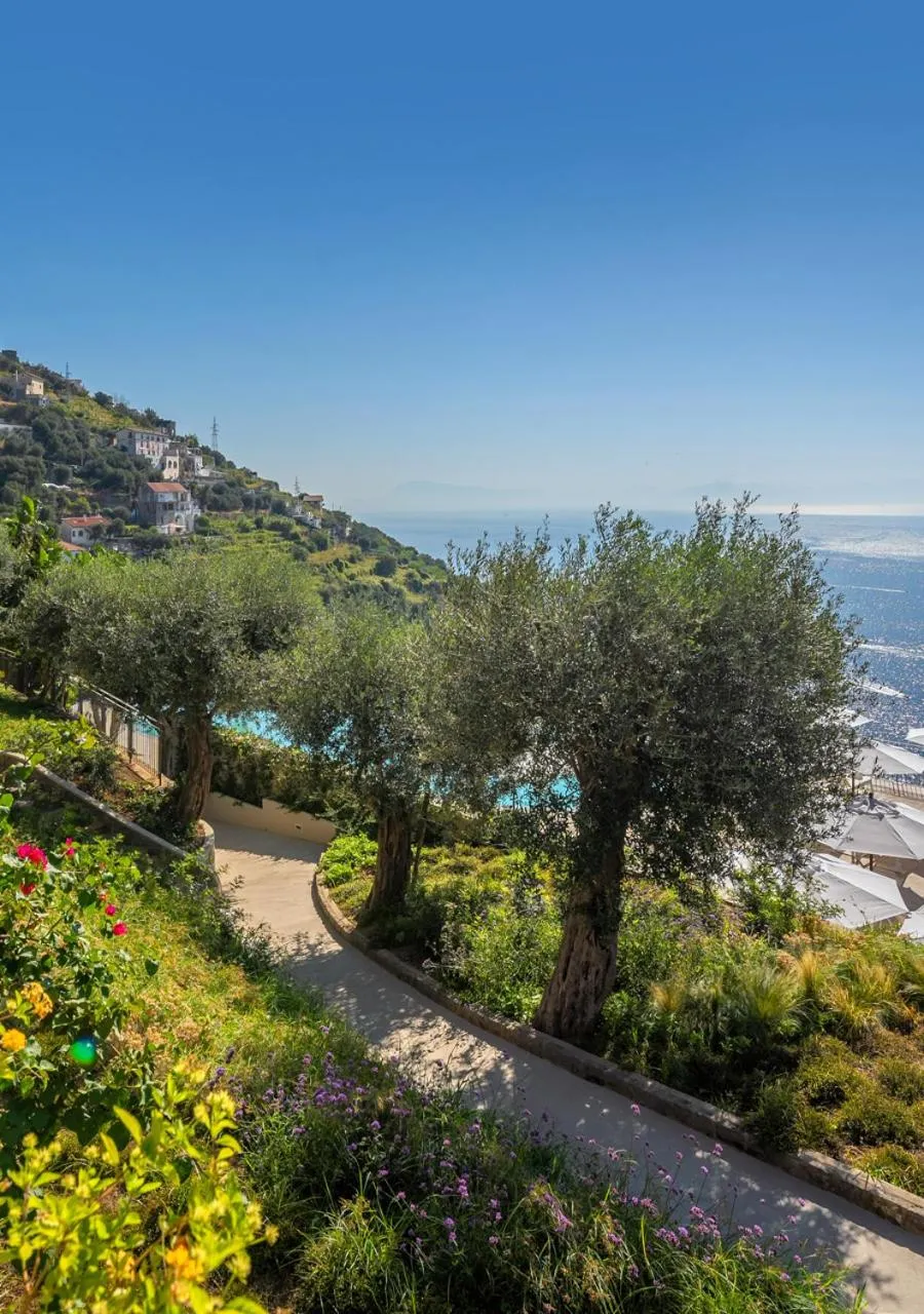 Garden in Furore Grand Hotel