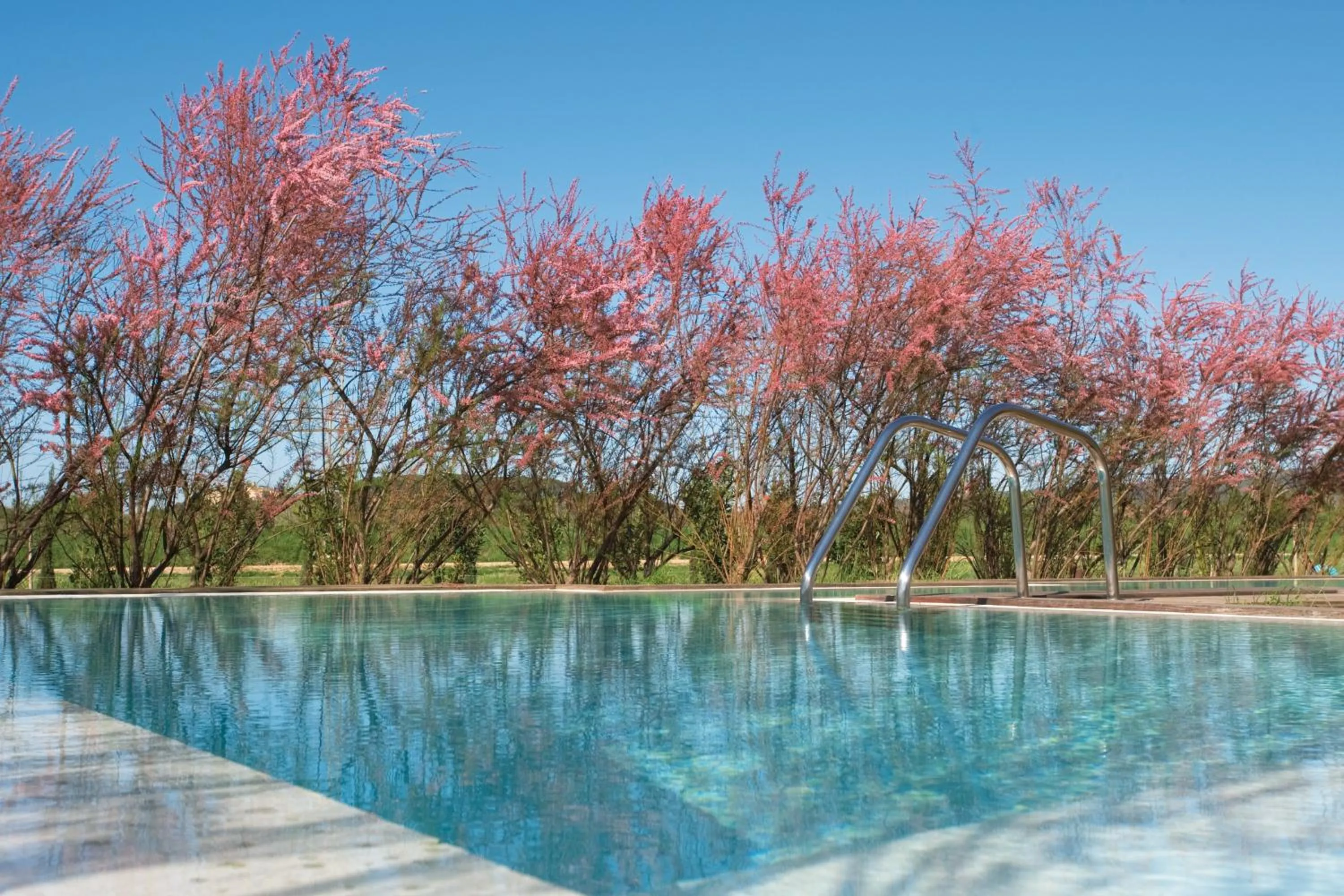 Garden in Hotel La Malcontenta