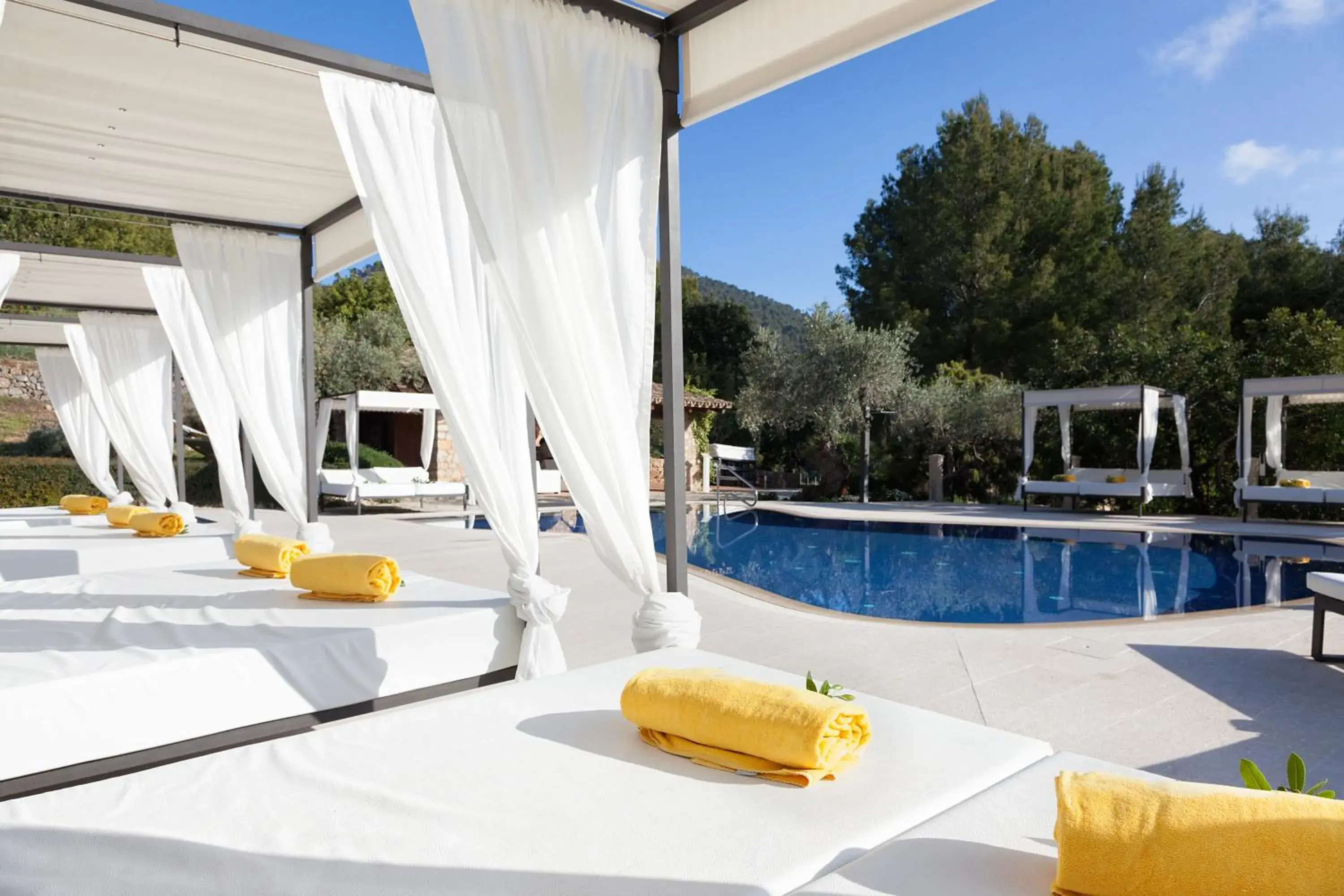 Swimming pool in Finca Albellons Swimming pool in Finca Albellons