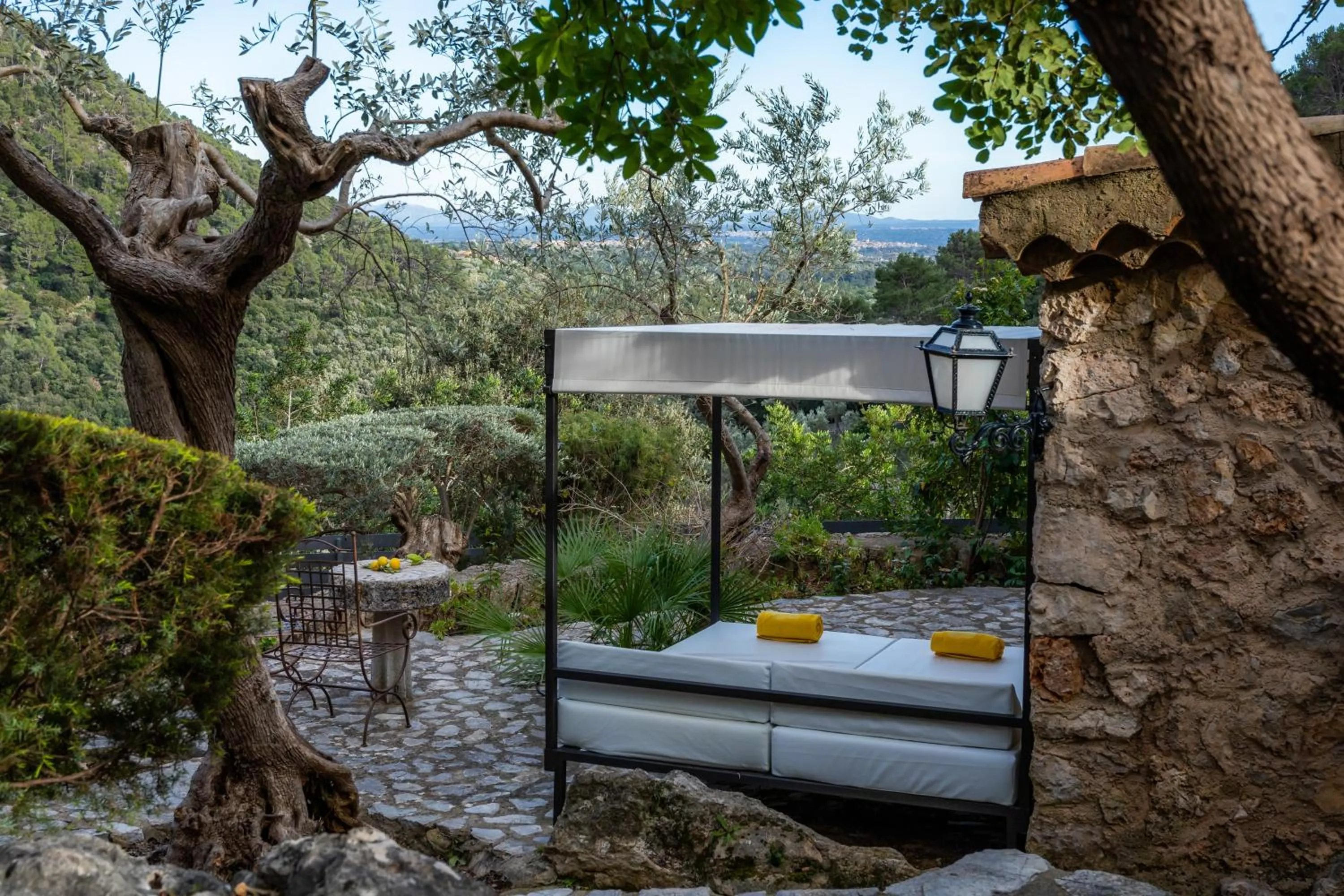 Natural landscape in Finca Albellons