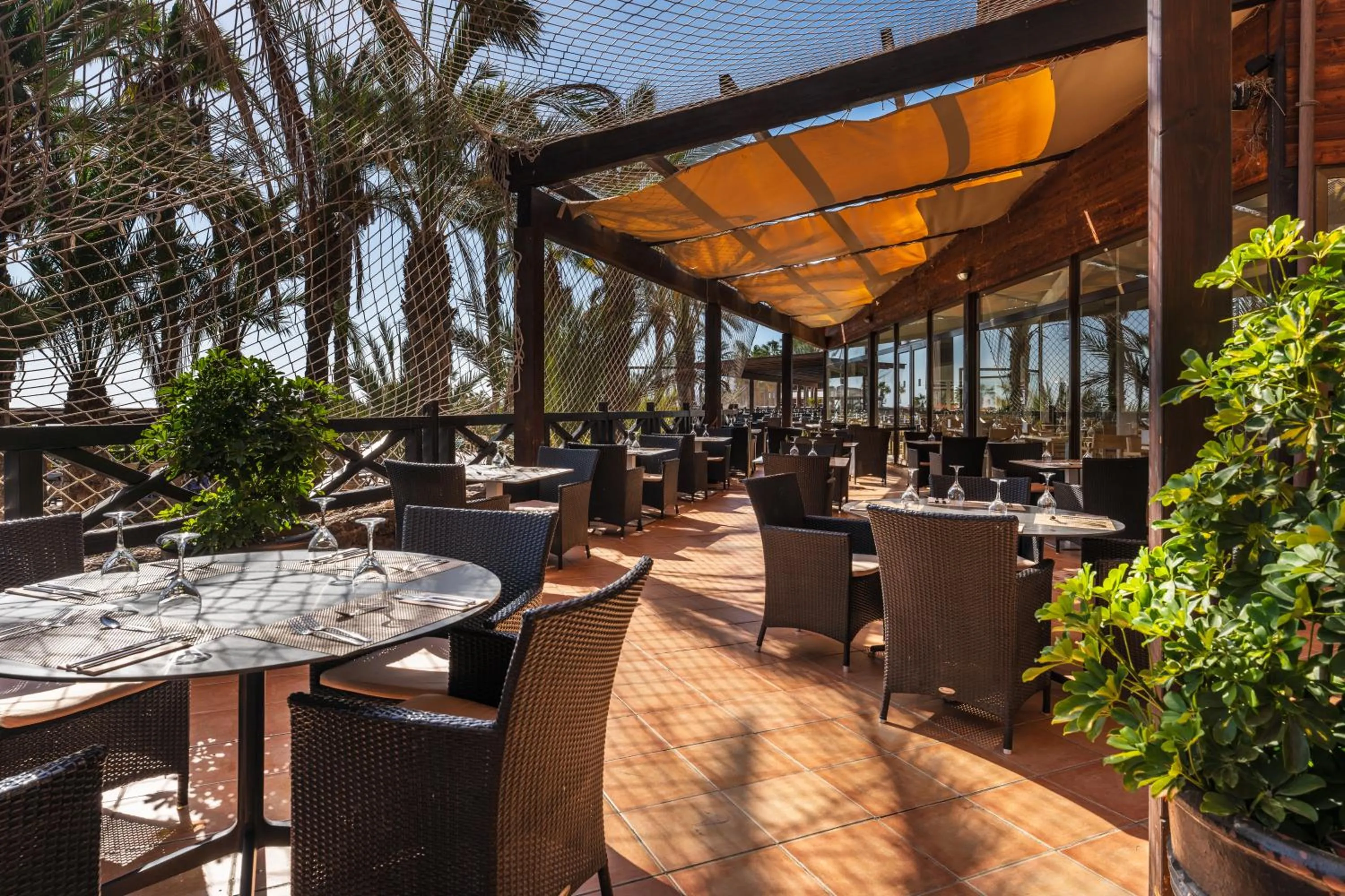 Restaurant/places to eat in Occidental Jandía Playa